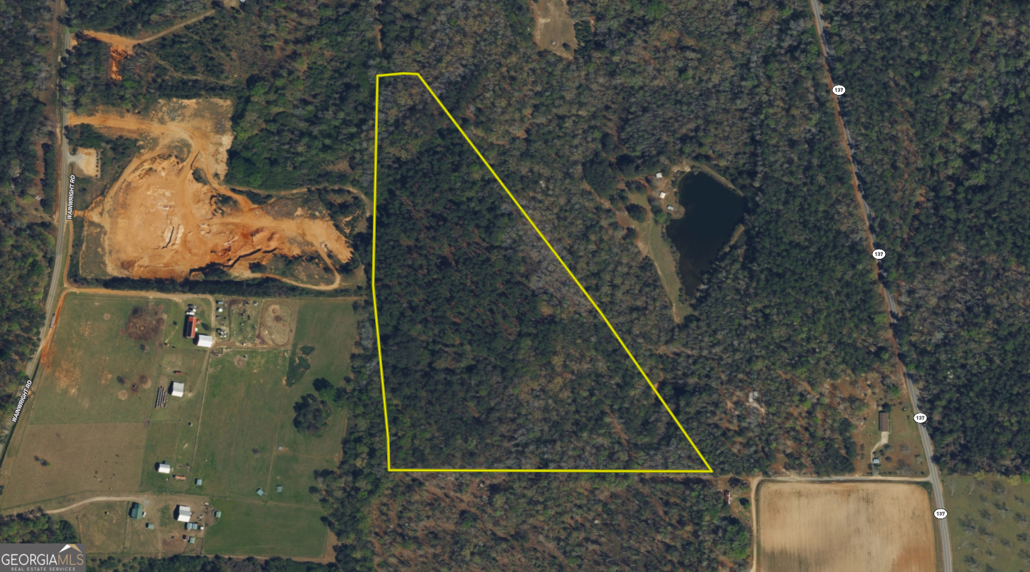 0 Roberta Highway Butler GA 31006
