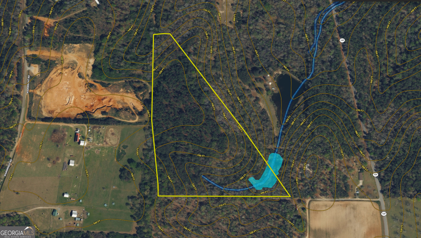 0 Roberta Highway Butler GA 31006