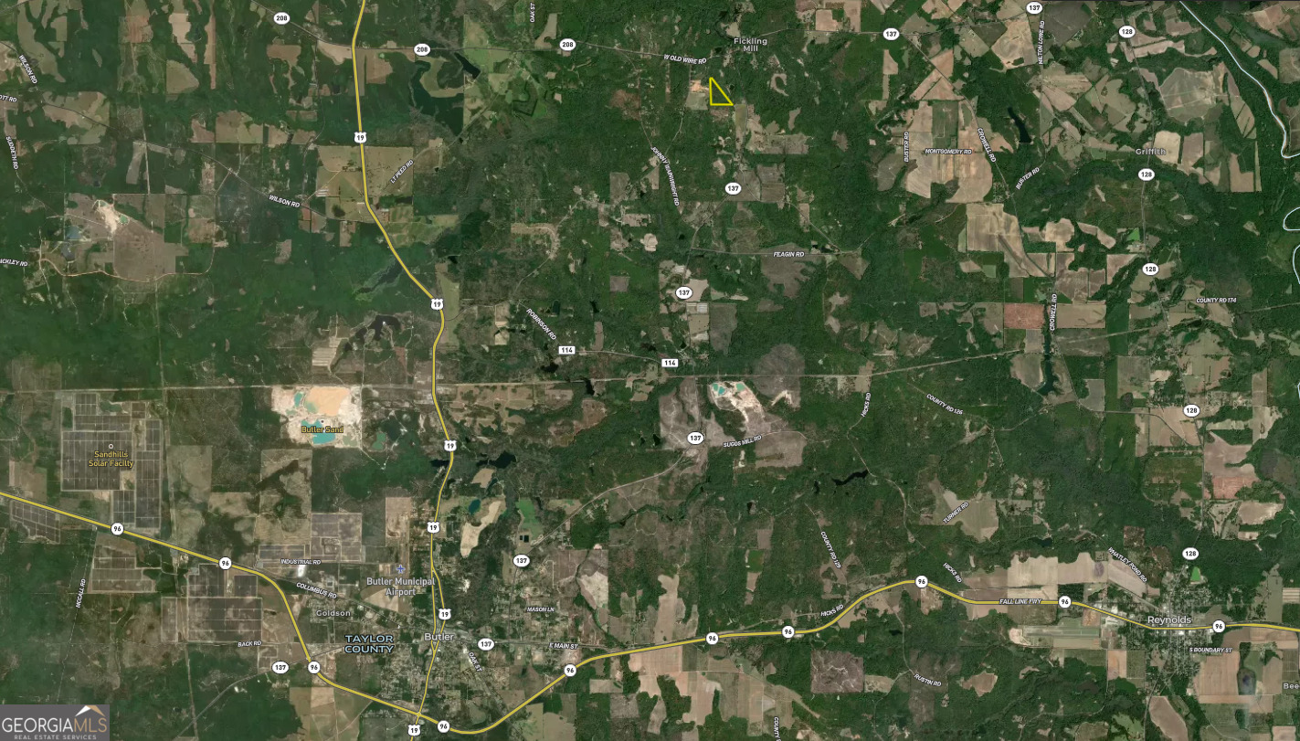0 Roberta Highway Butler GA 31006