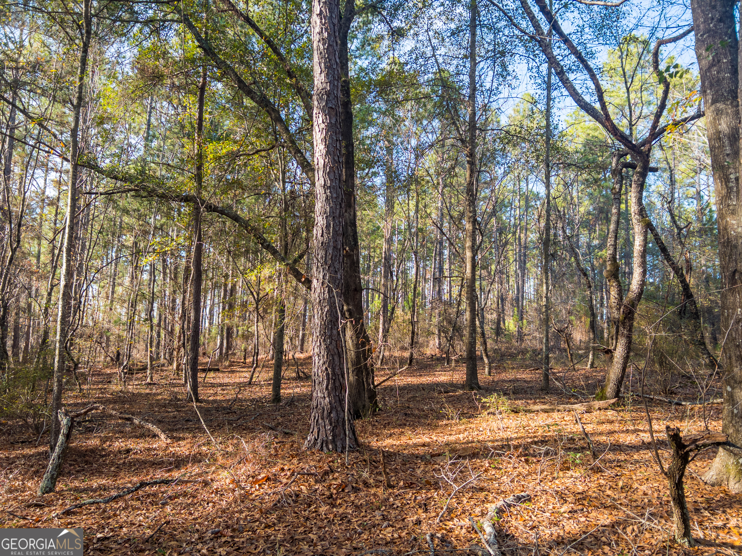 0 Roberta Highway Butler GA 31006