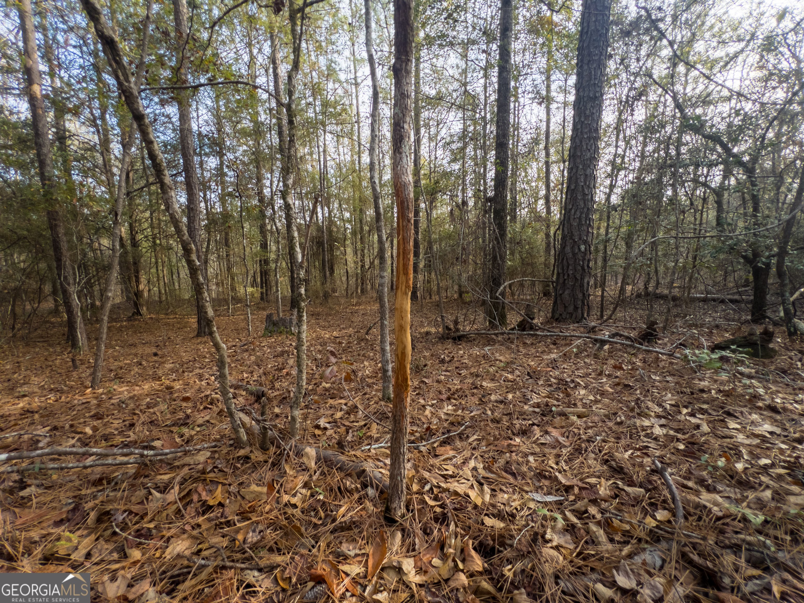 0 Roberta Highway Butler GA 31006