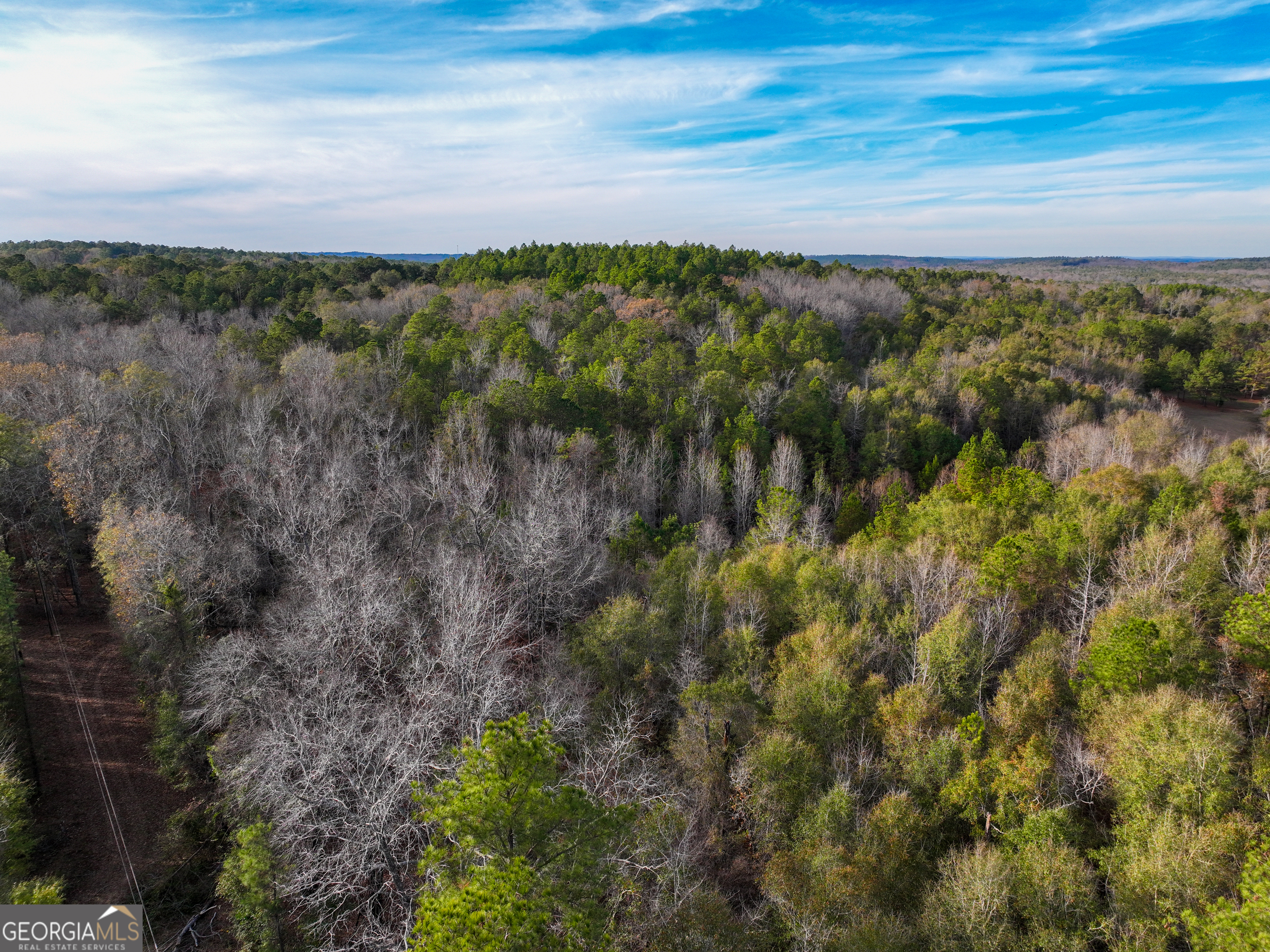 0 Roberta Highway Butler GA 31006
