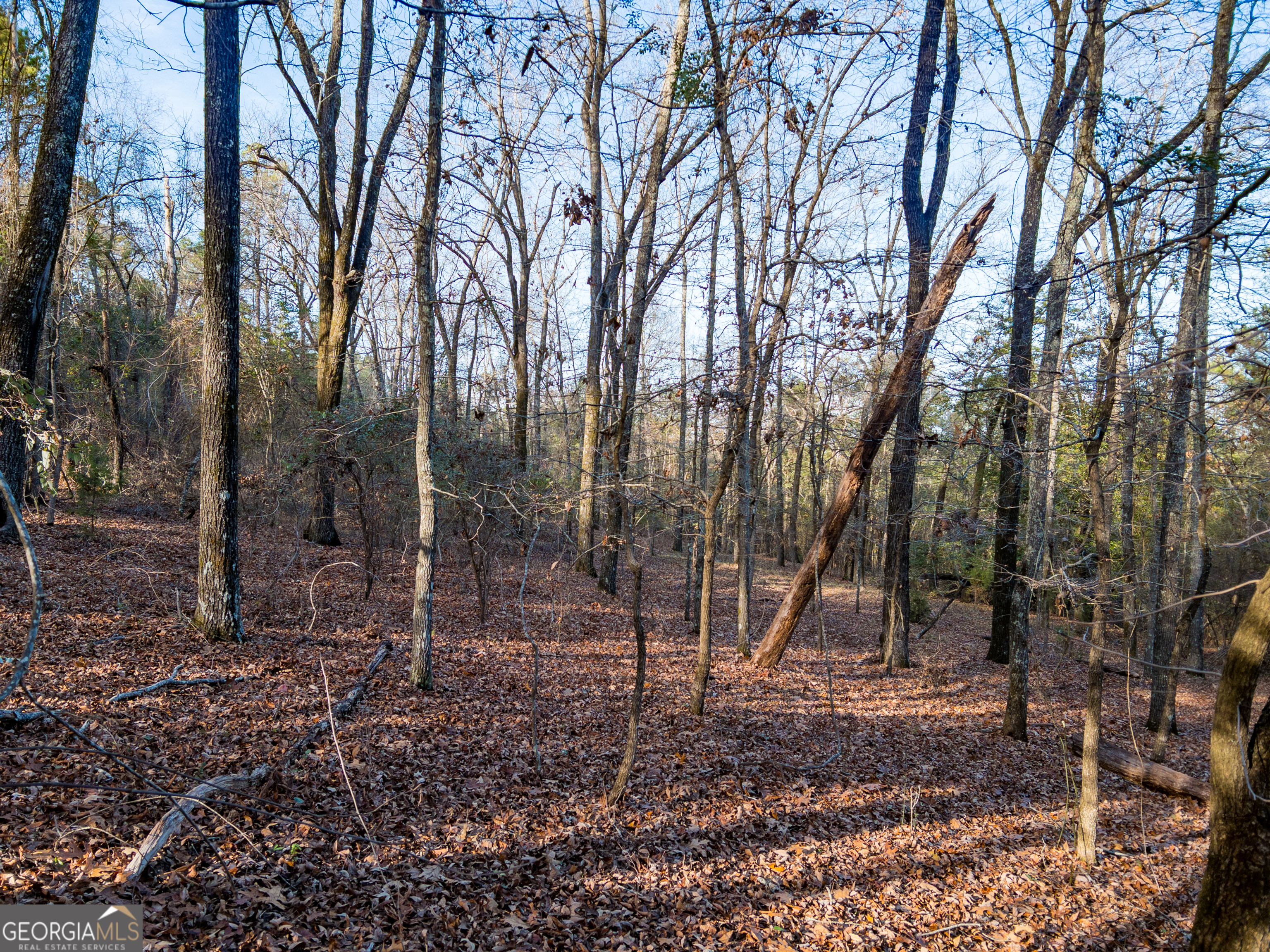 0 Roberta Highway Butler GA 31006