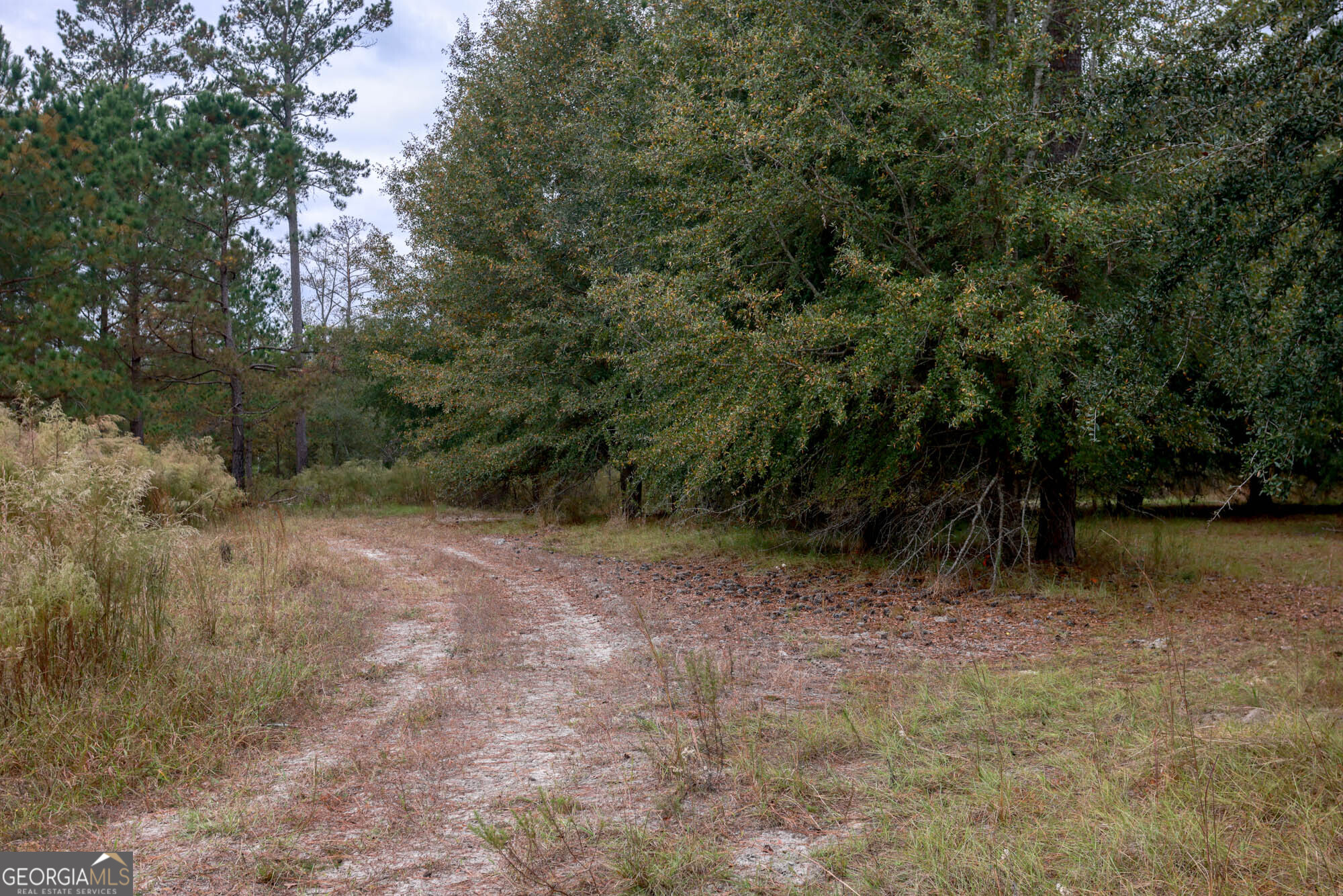 0 Hendrix Bridge Road Claxton GA 30417