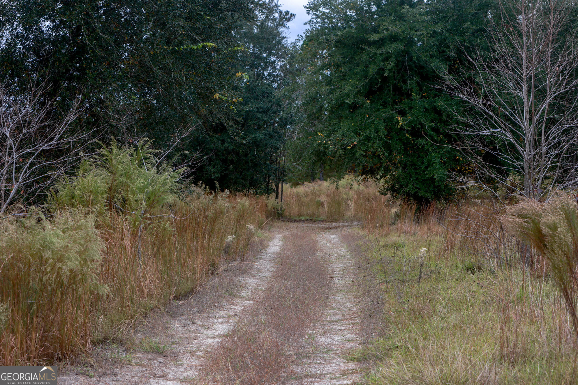 0 Hendrix Bridge Road Claxton GA 30417