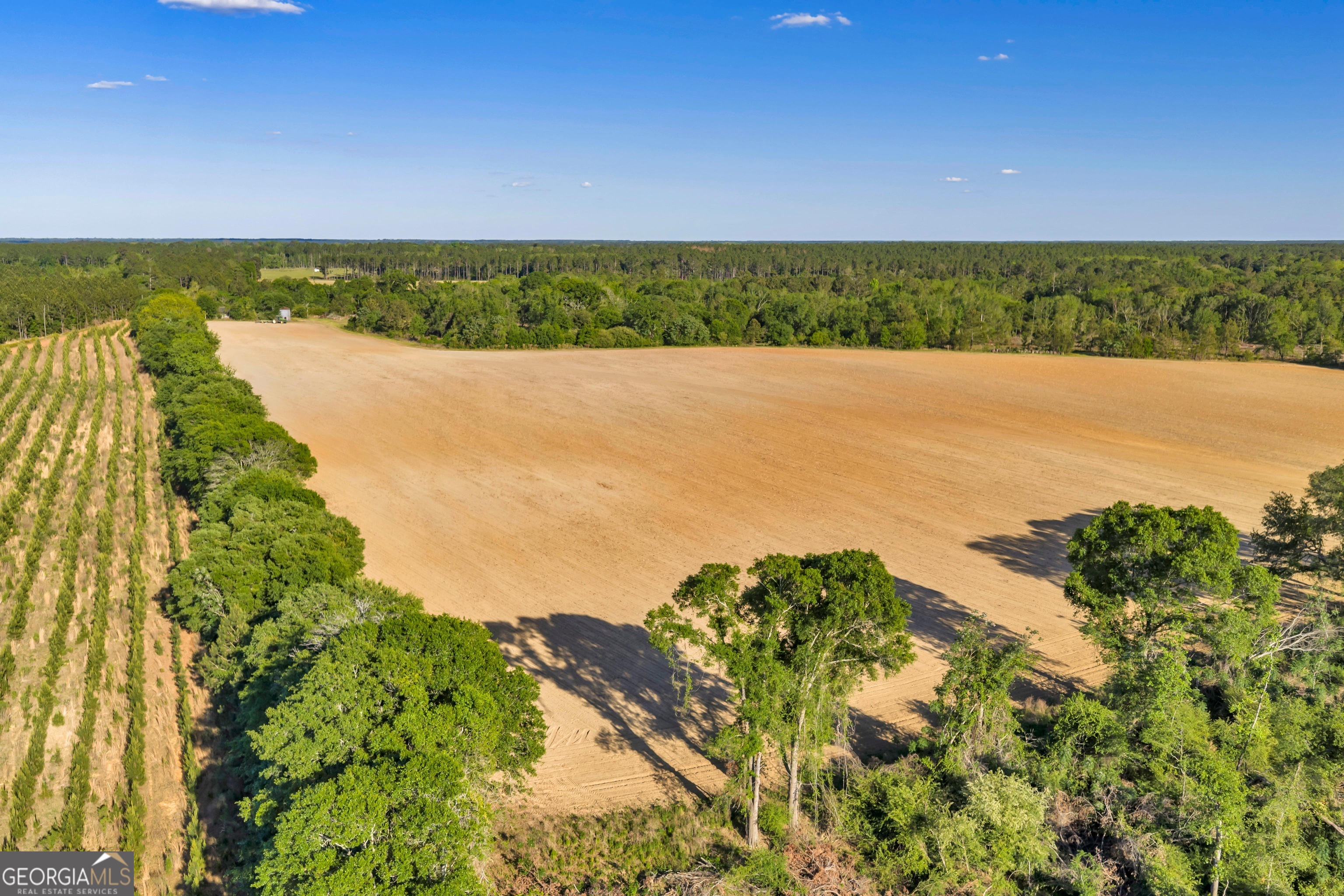 0 Daffodil Road Ocilla GA 31774