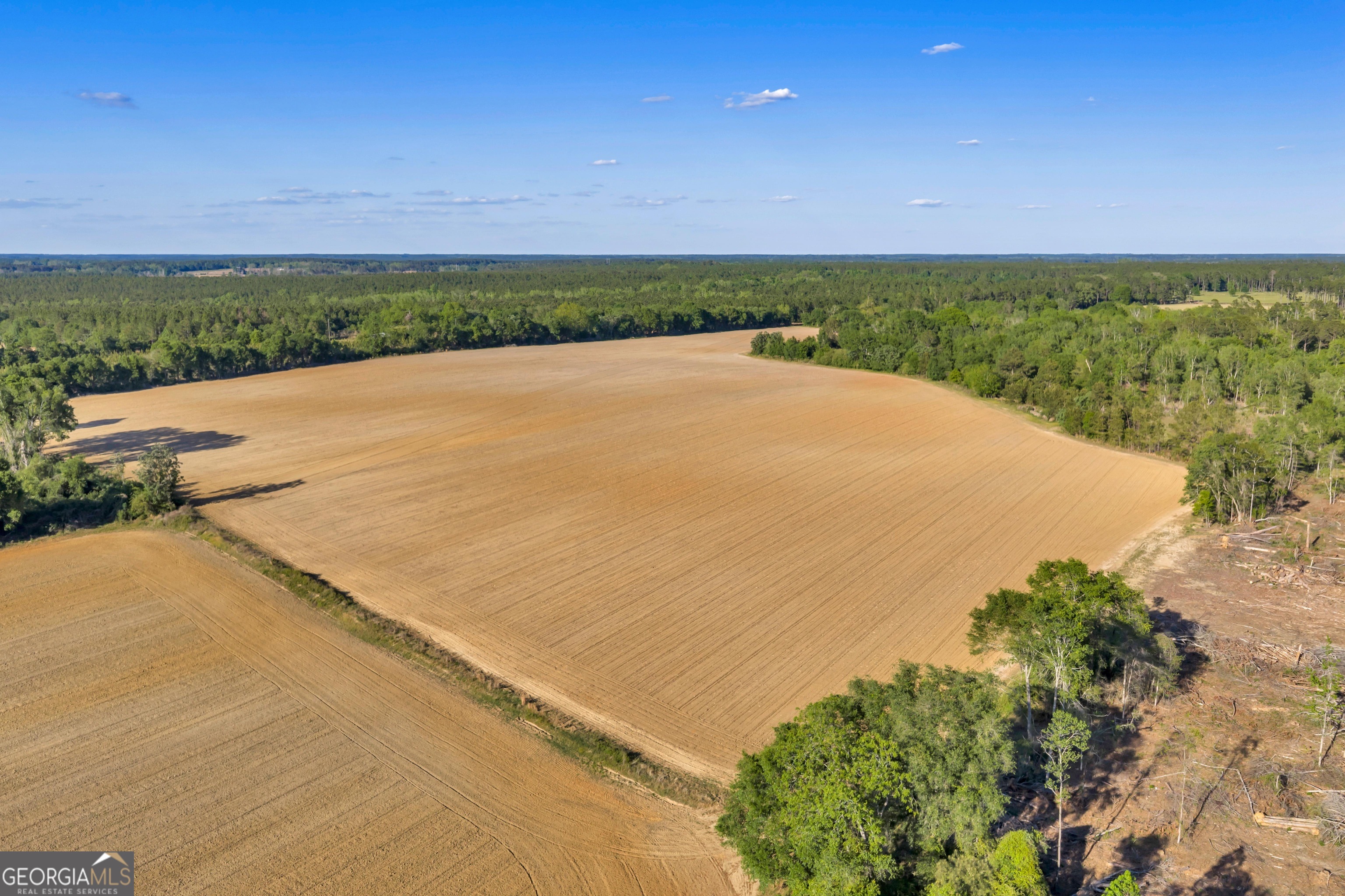 0 Daffodil Road Ocilla GA 31774