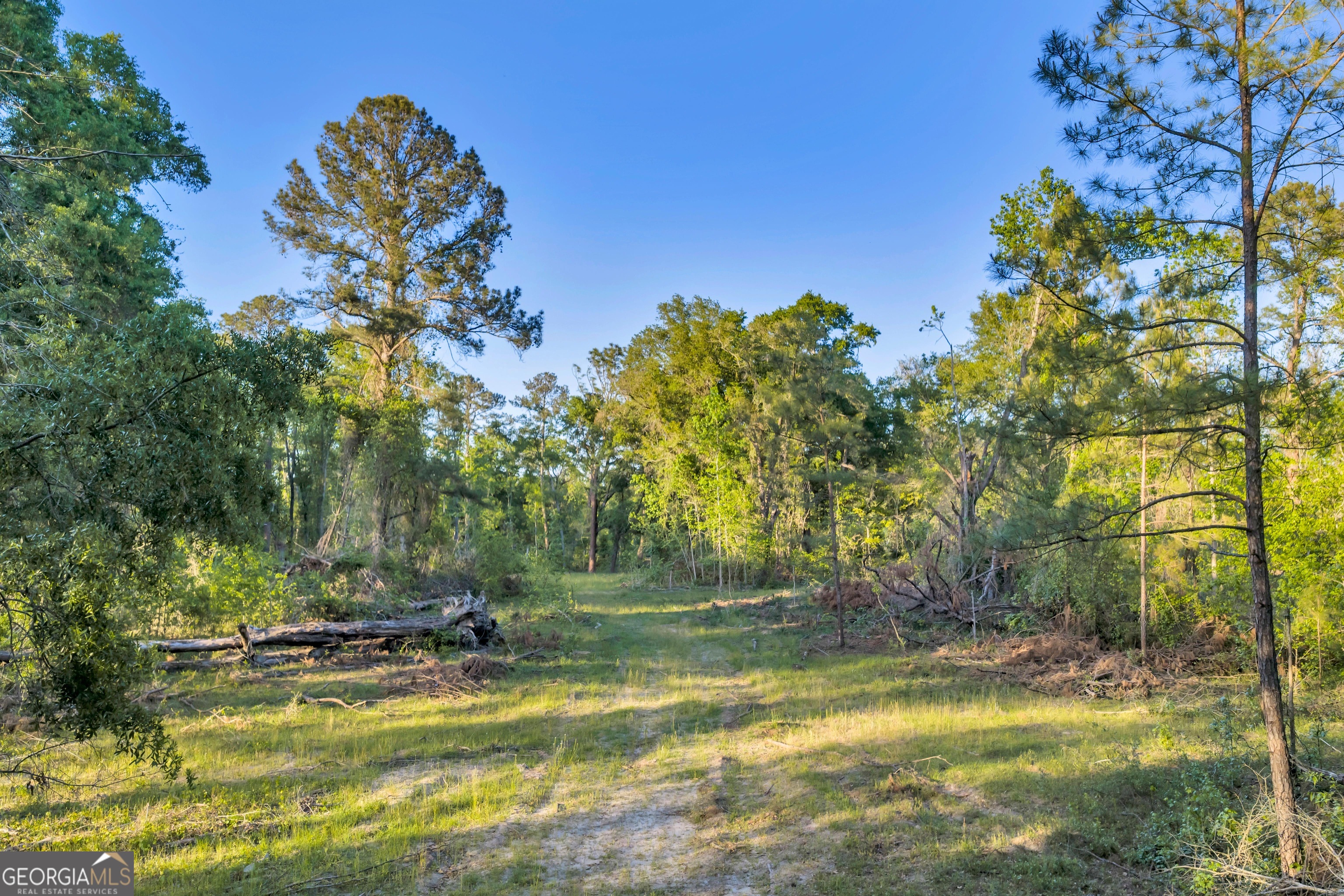 0 Daffodil Road Ocilla GA 31774