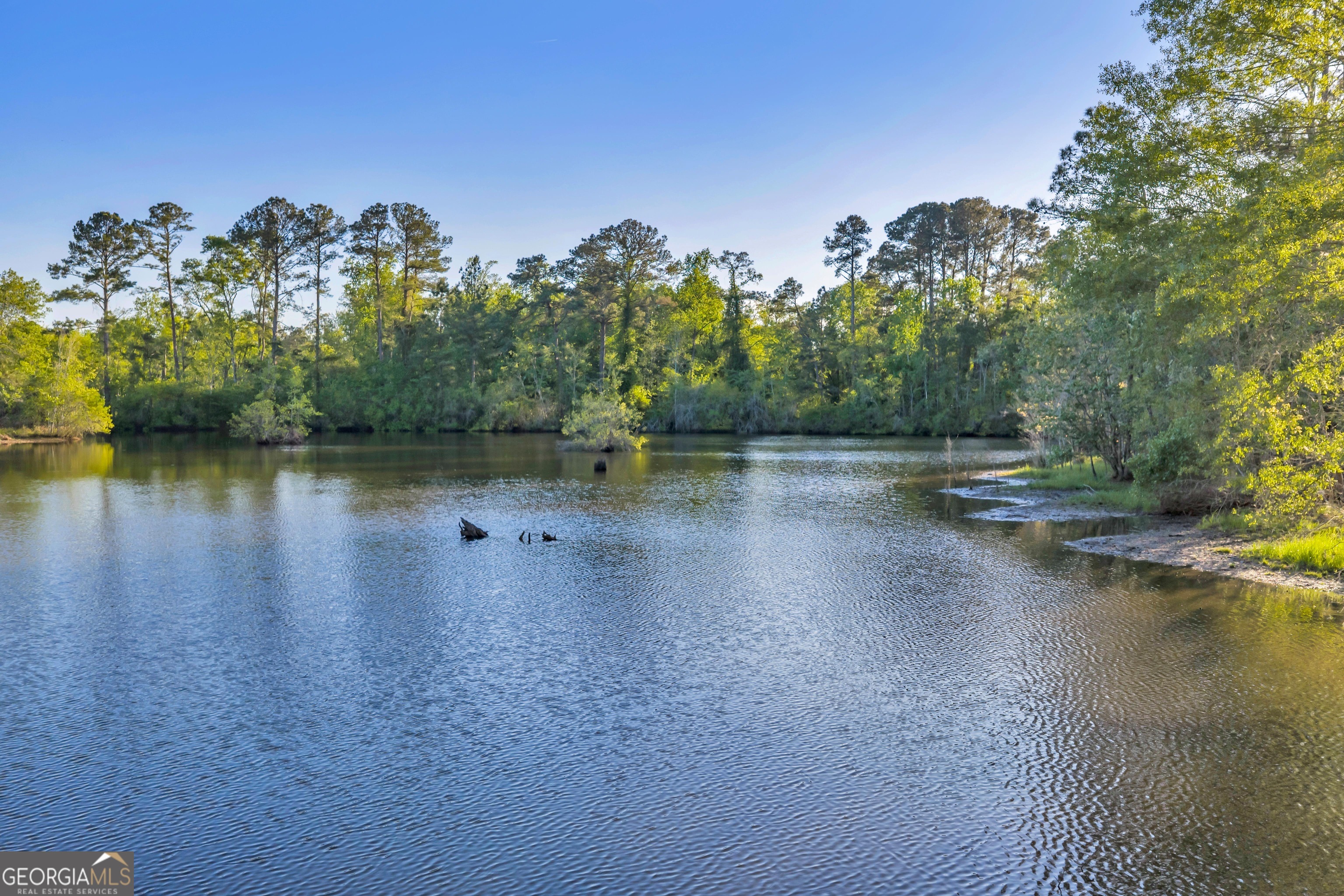 0 Daffodil Road Ocilla GA 31774