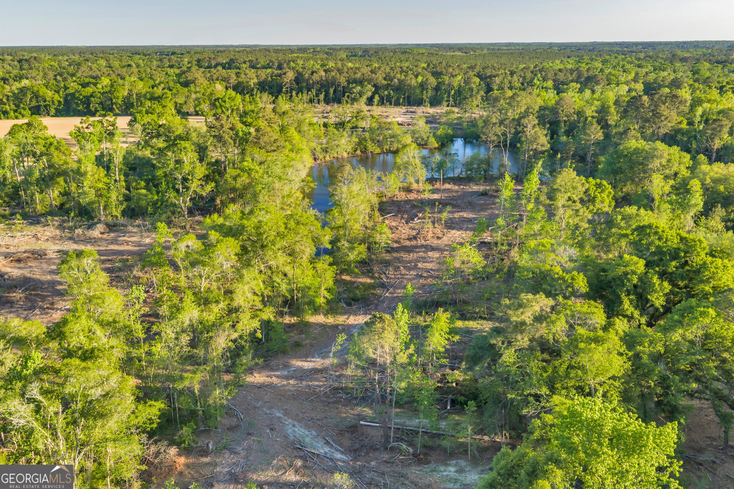 0 Daffodil Road Ocilla GA 31774