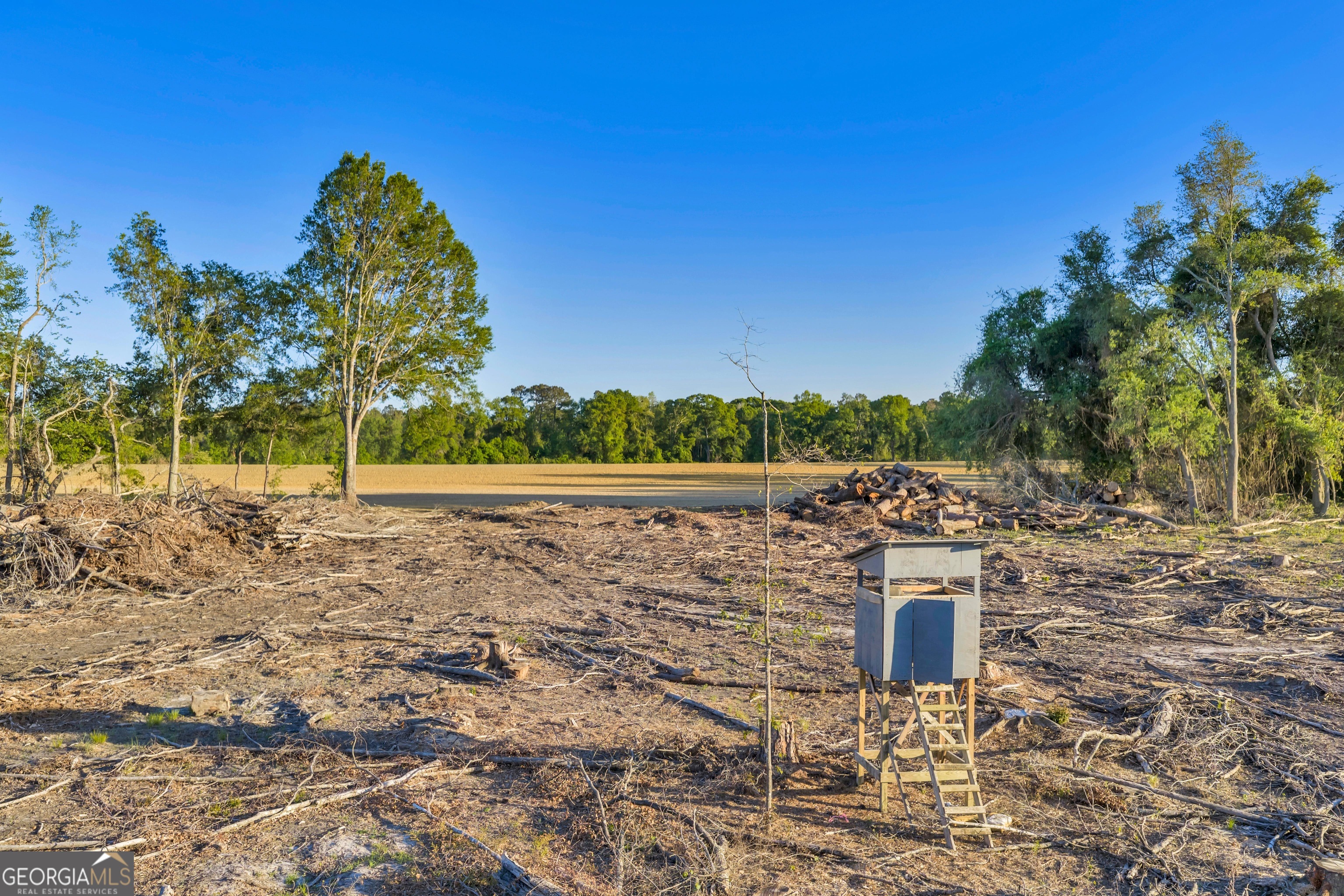 0 Daffodil Road Ocilla GA 31774