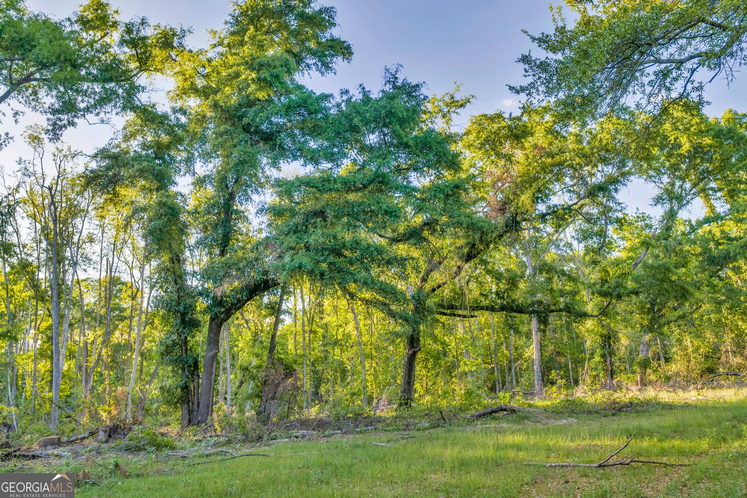 0 Daffodil Road Ocilla GA 31774