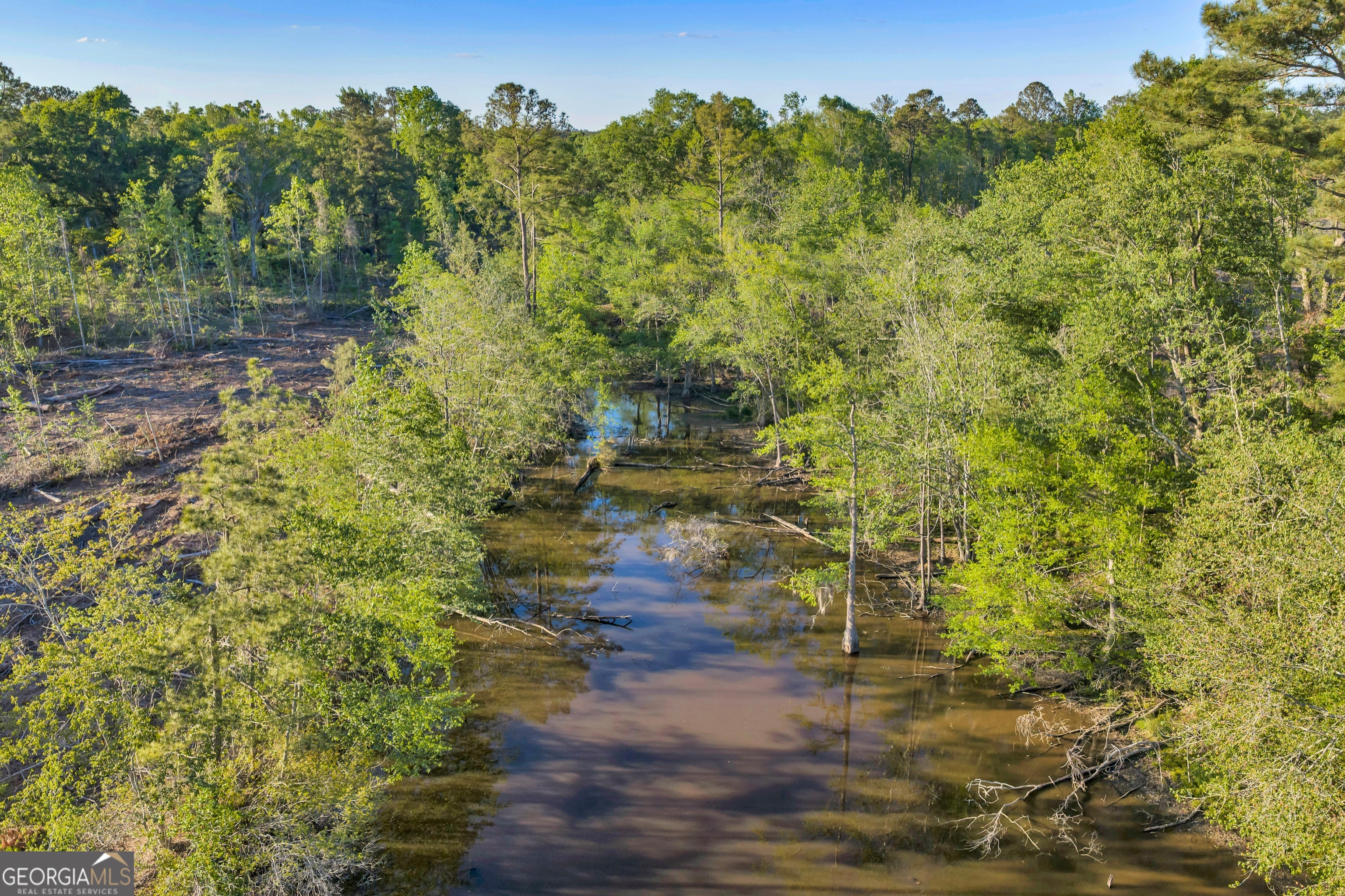 0 Daffodil Road Ocilla GA 31774