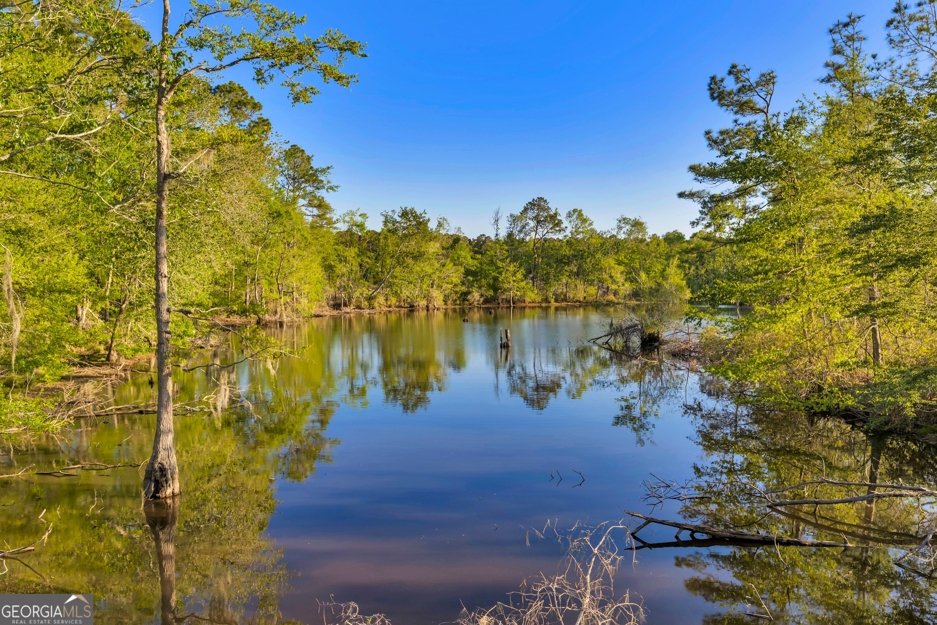 0 Daffodil Road Ocilla GA 31774
