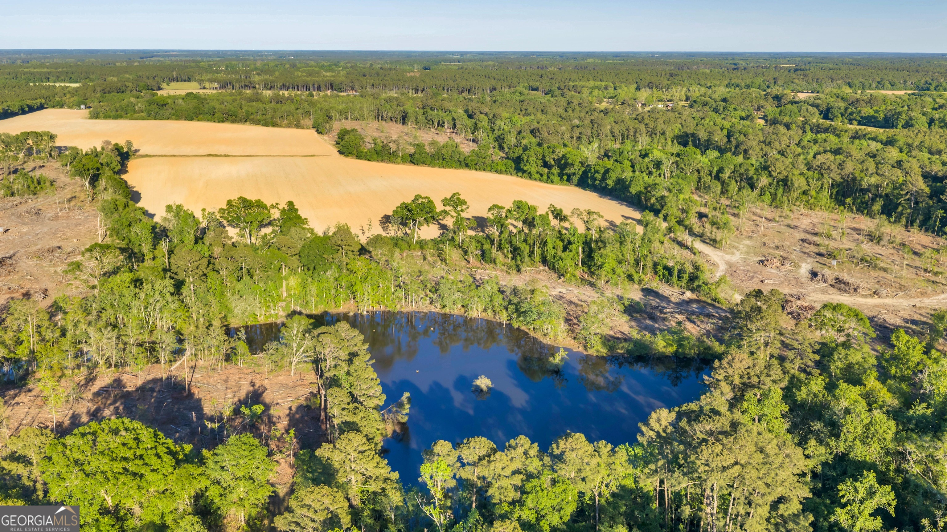 0 Daffodil Road Ocilla GA 31774