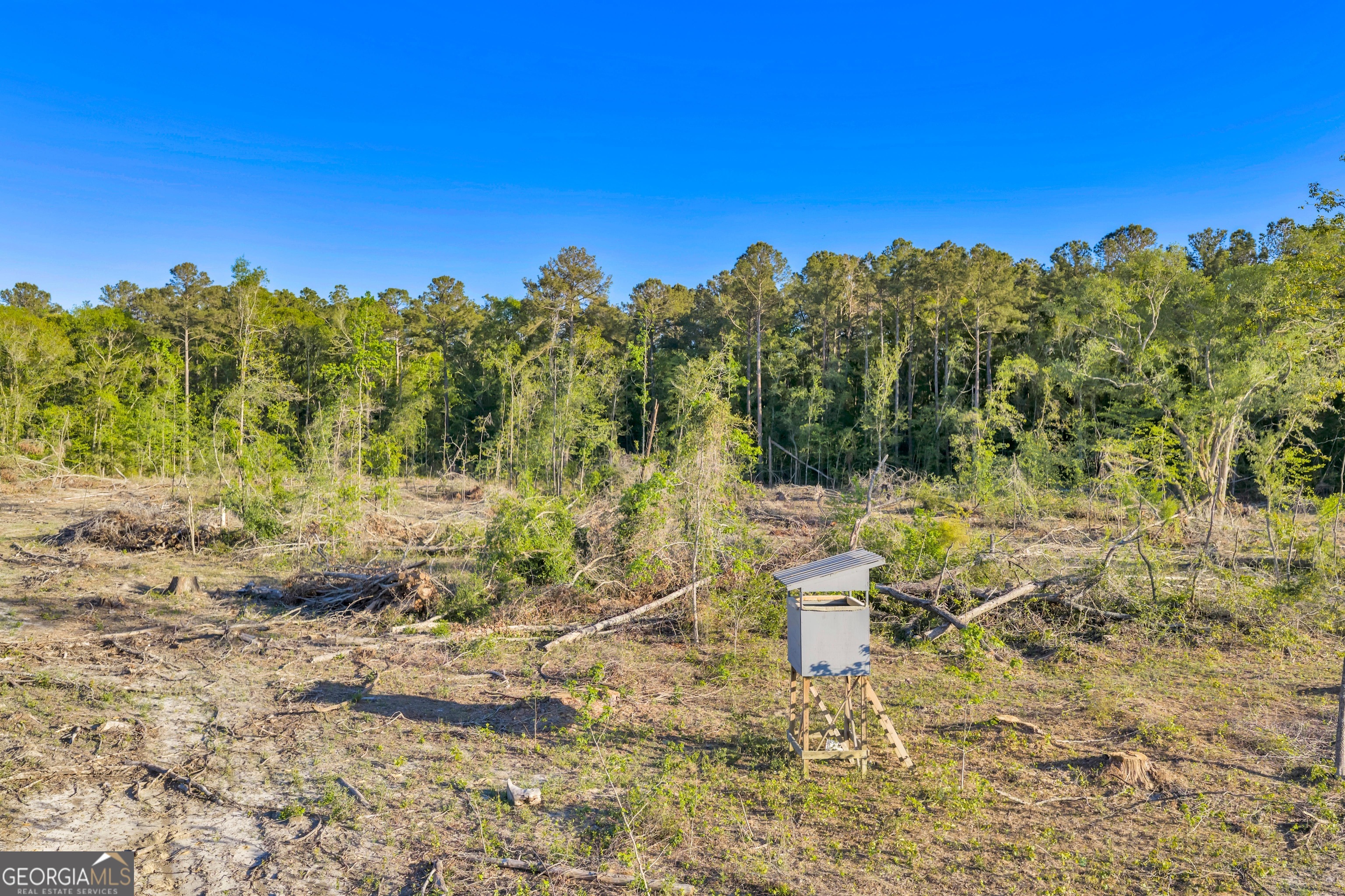 0 Daffodil Road Ocilla GA 31774