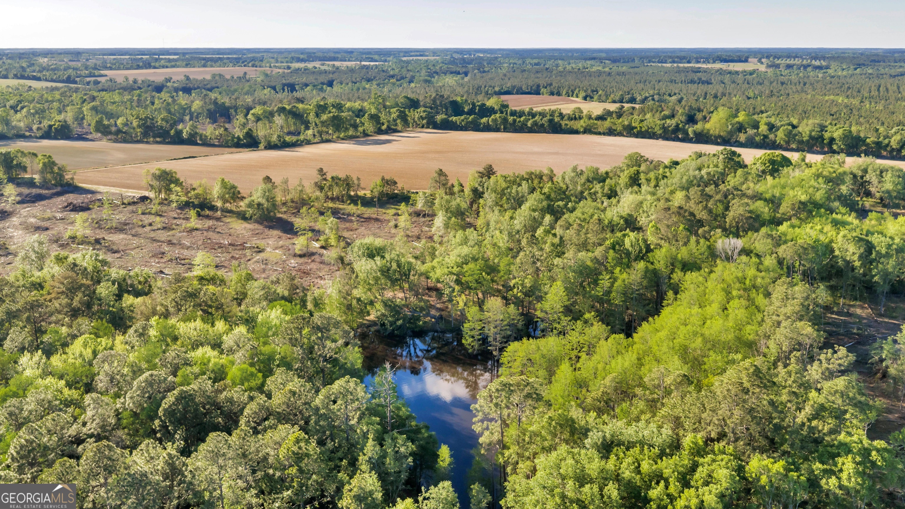 0 Daffodil Road Ocilla GA 31774