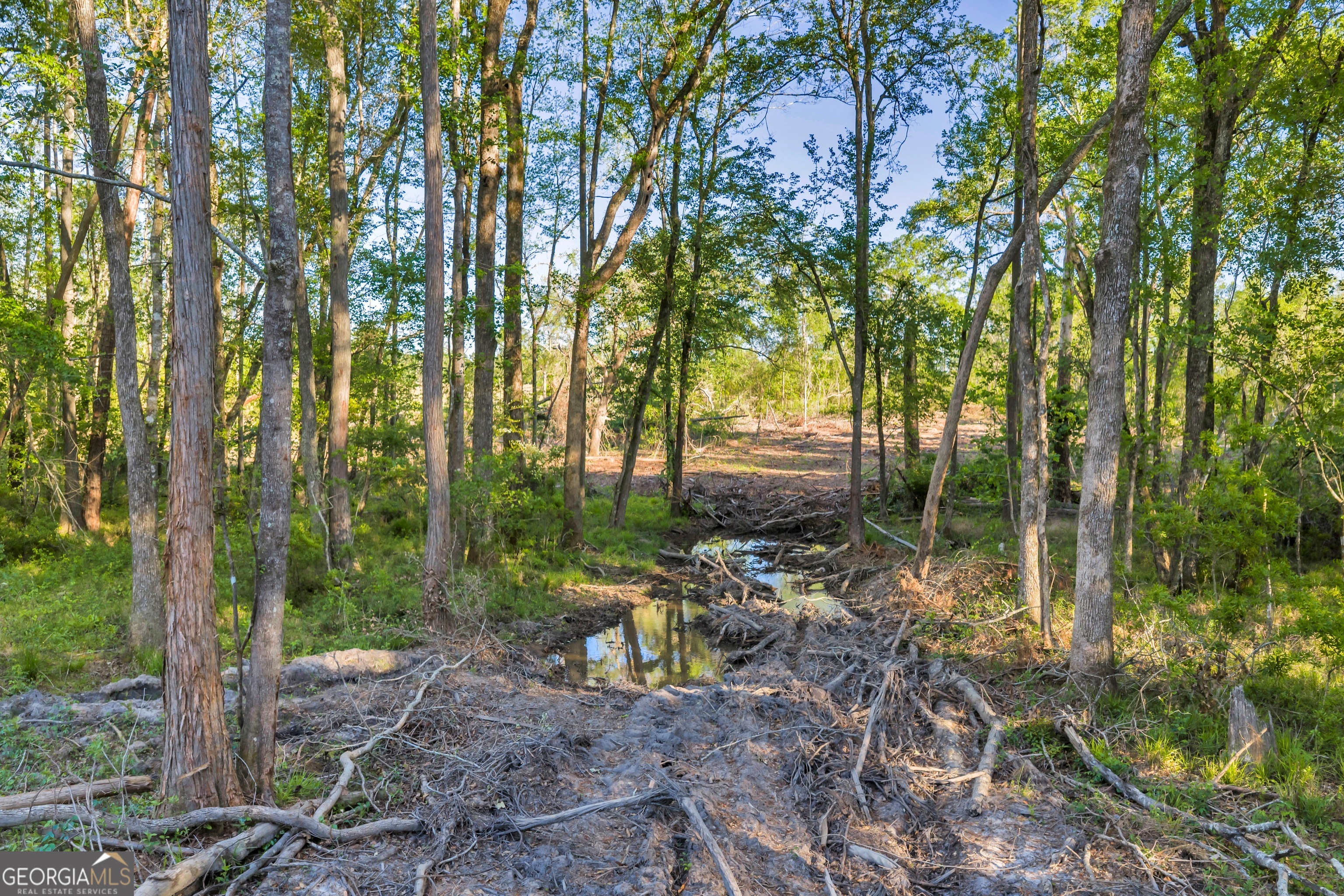 0 Daffodil Road Ocilla GA 31774