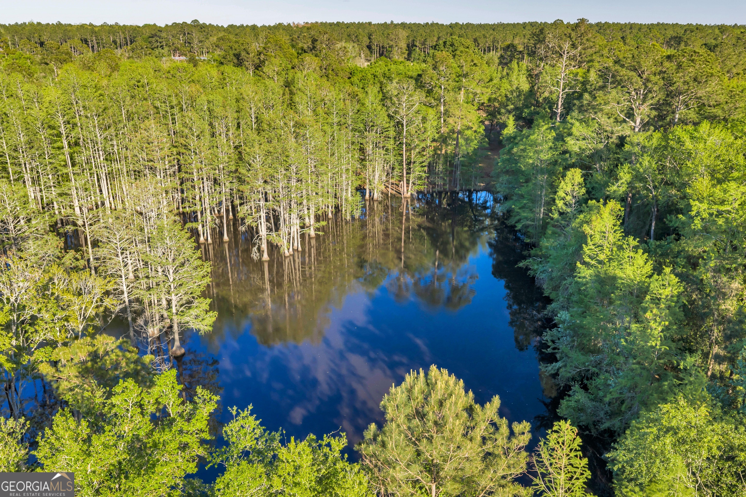 0 Daffodil Road Ocilla GA 31774