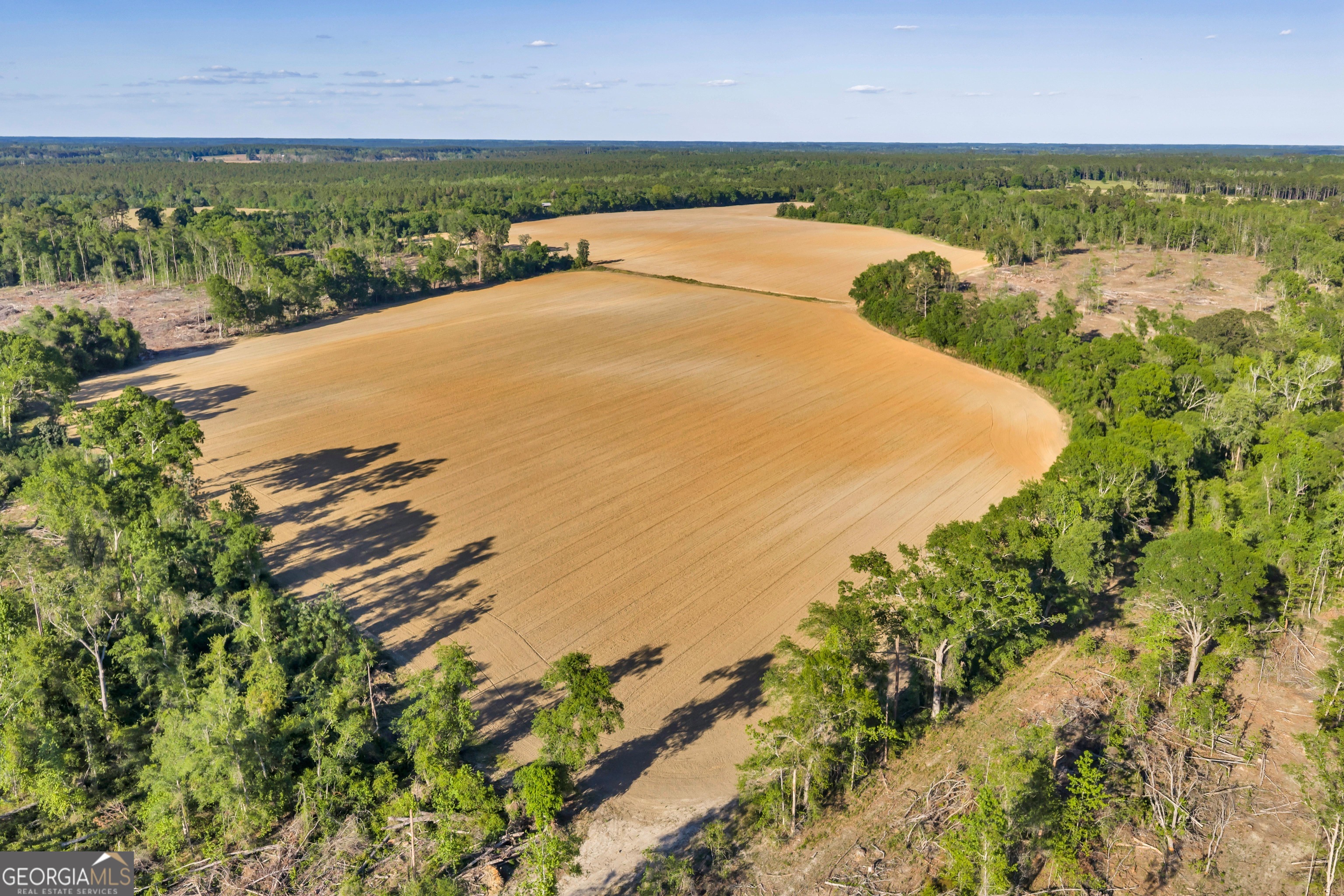 0 Daffodil Road Ocilla GA 31774