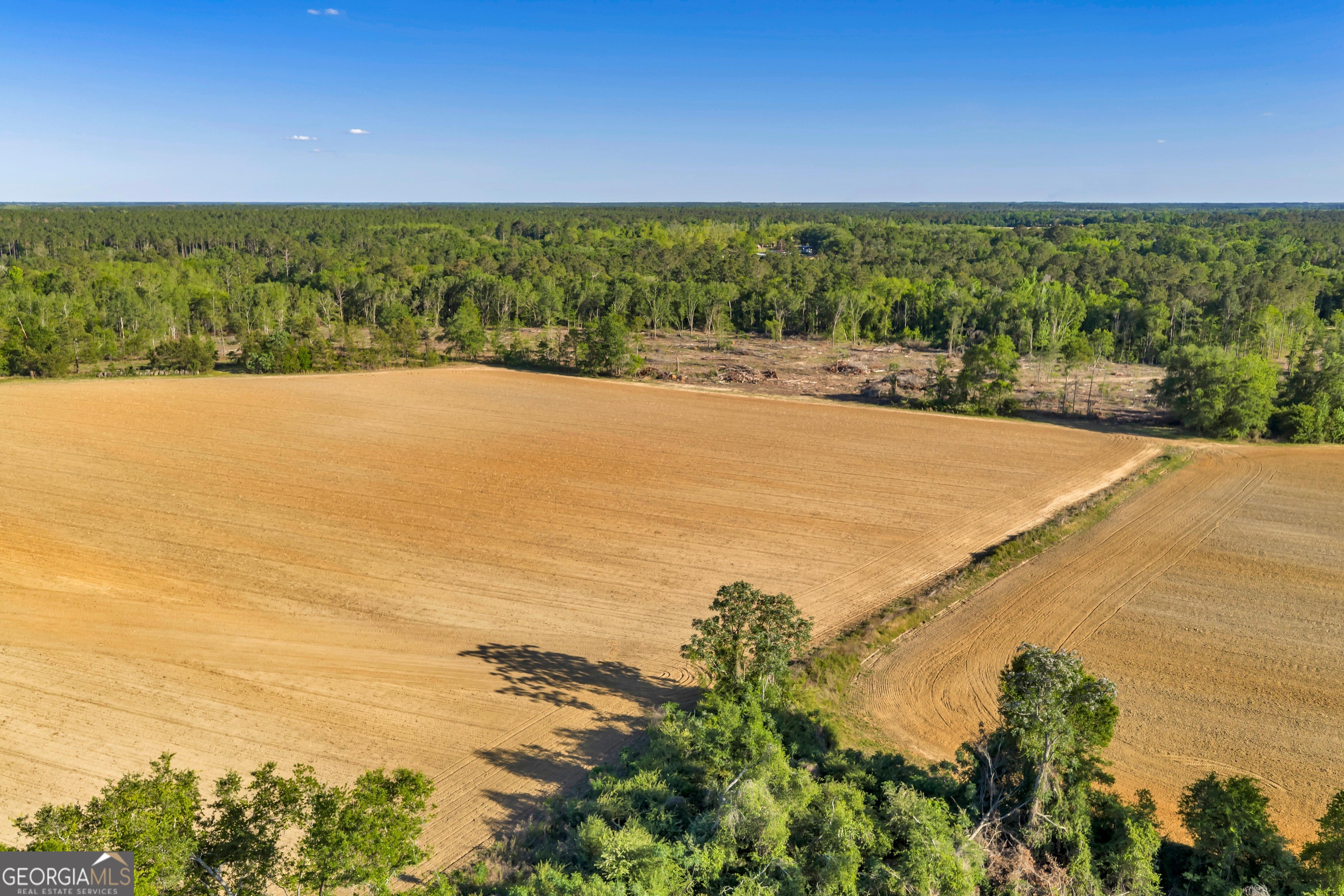 0 Daffodil Road Ocilla GA 31774