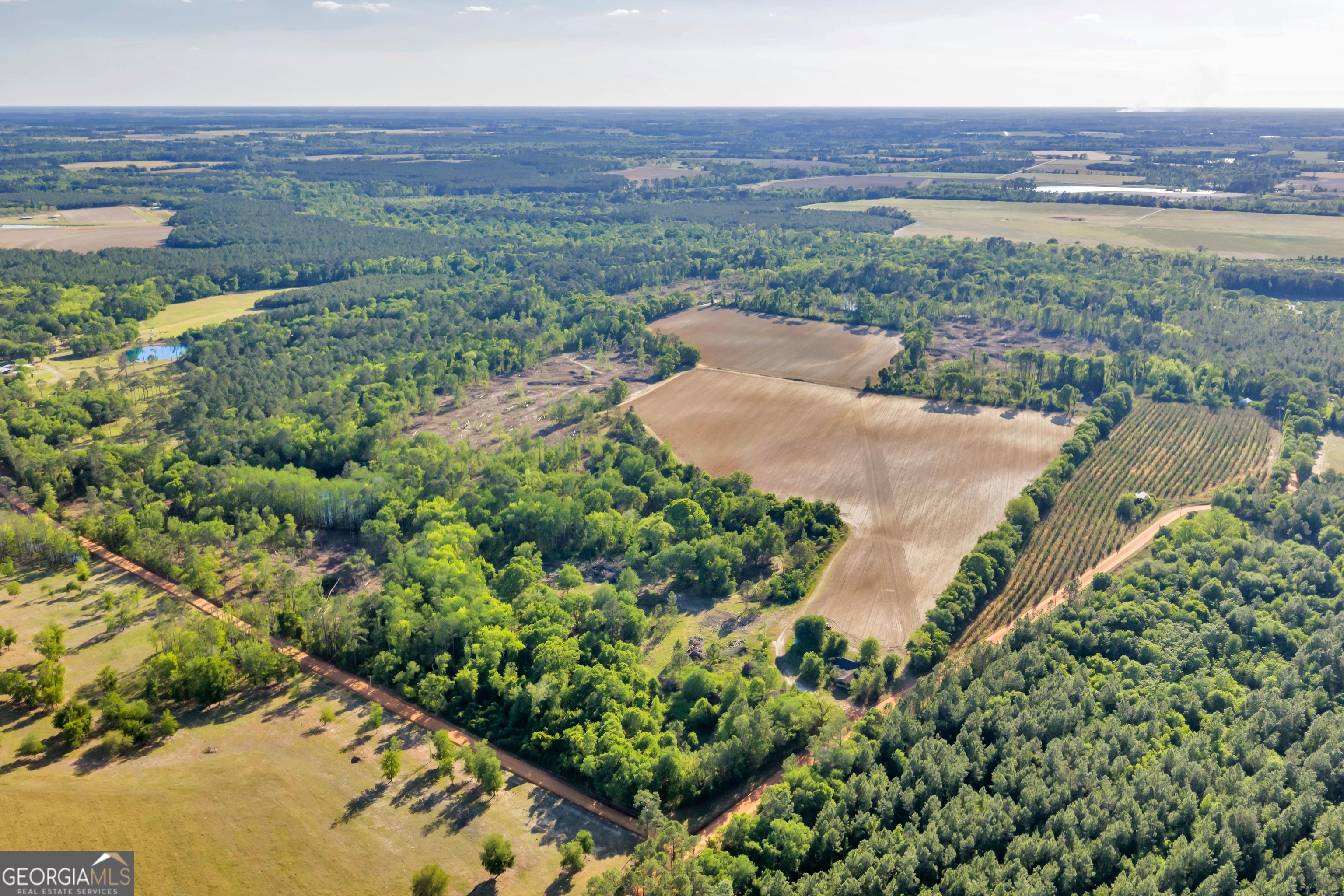 0 Daffodil Road Ocilla GA 31774