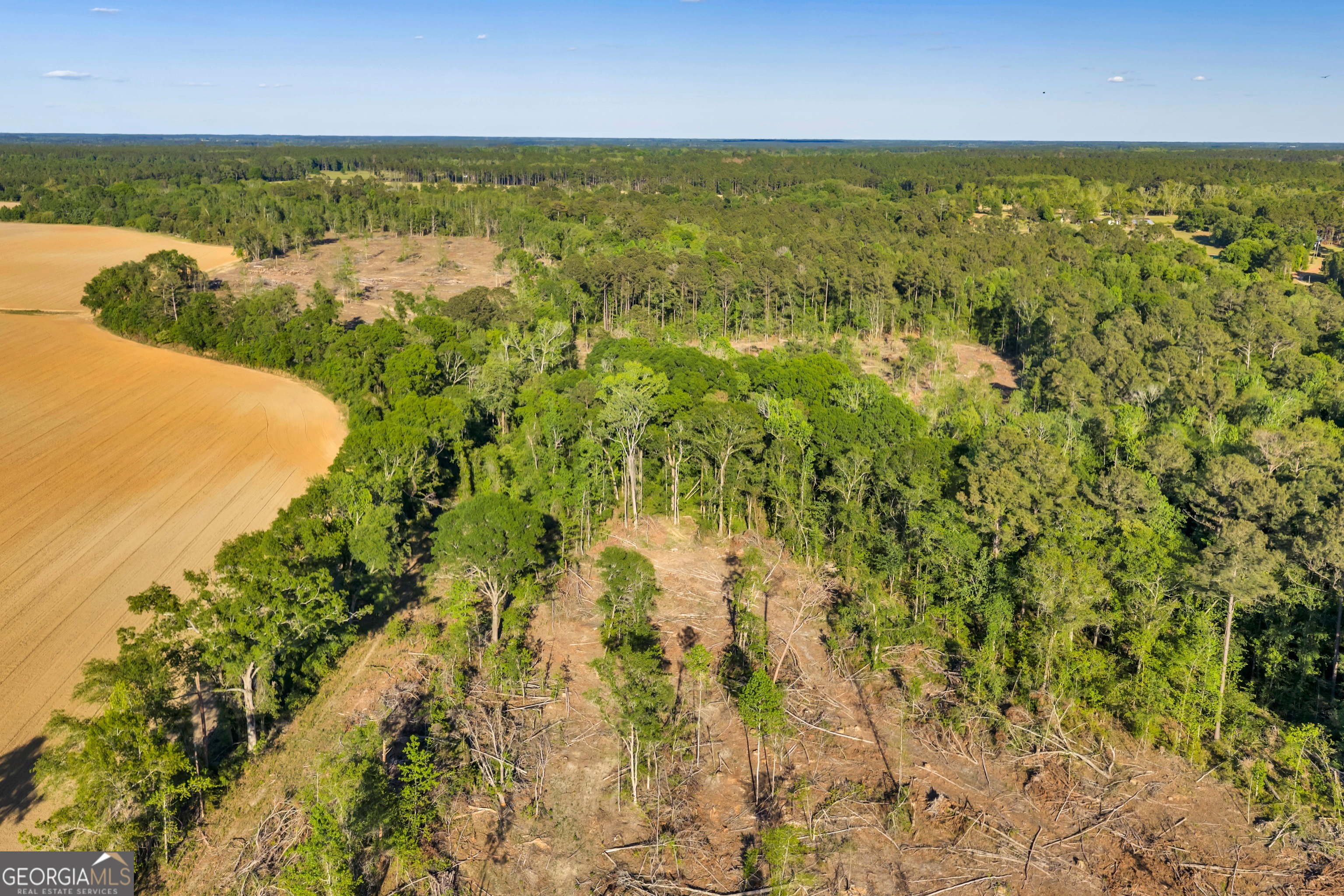 0 Daffodil Road Ocilla GA 31774