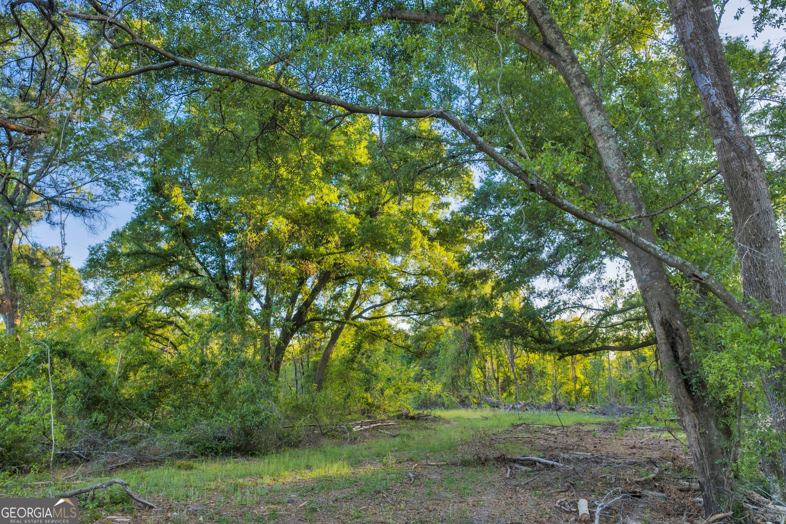 0 Daffodil Road Ocilla GA 31774
