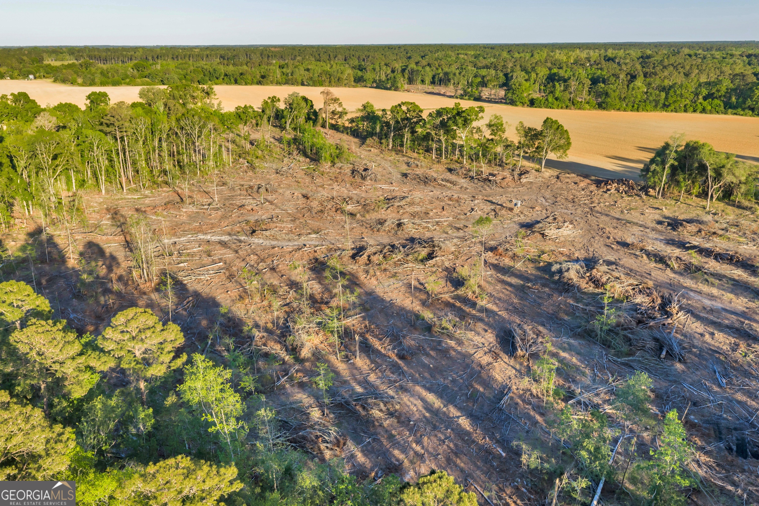 0 Daffodil Road Ocilla GA 31774