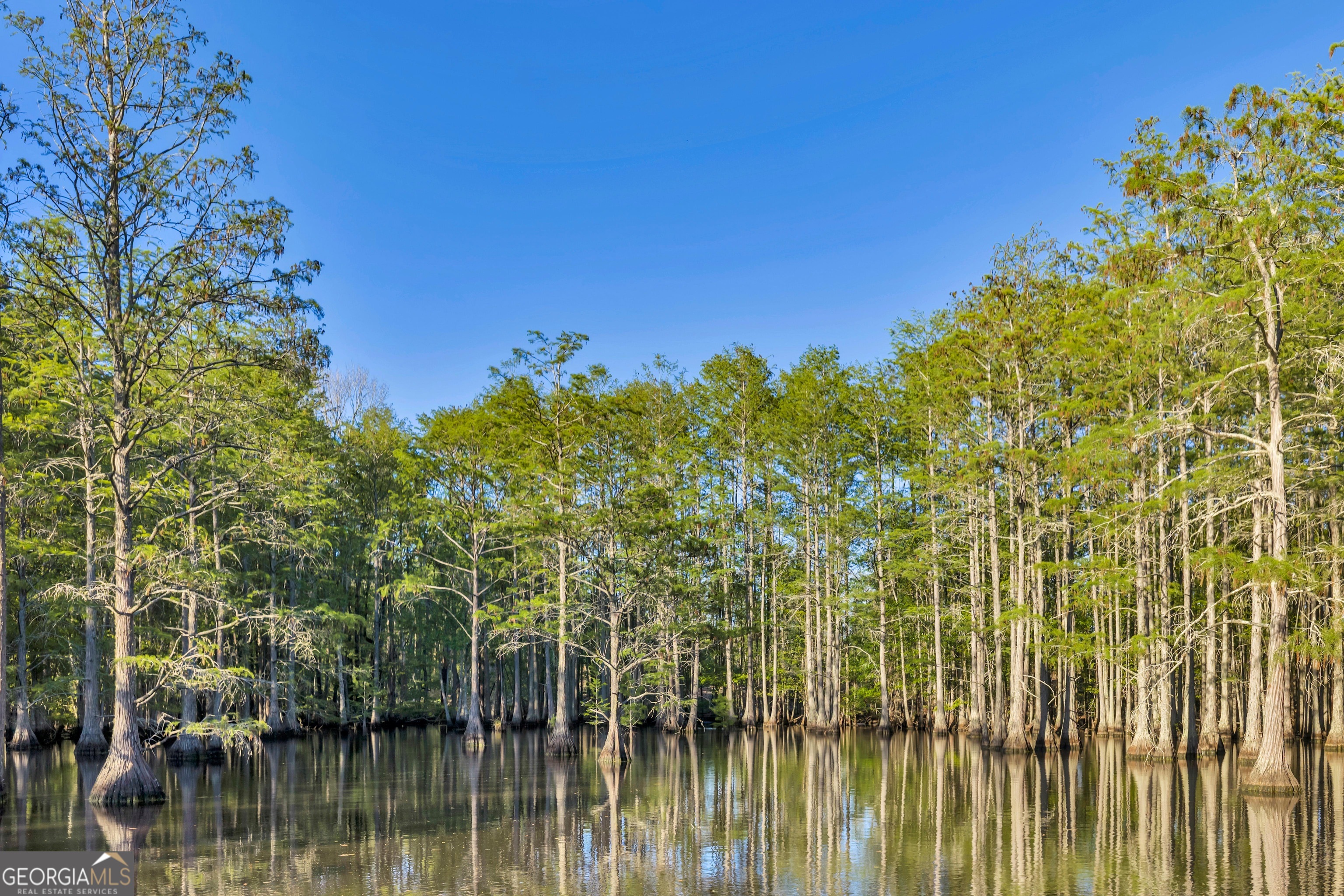 0 Daffodil Road Ocilla GA 31774