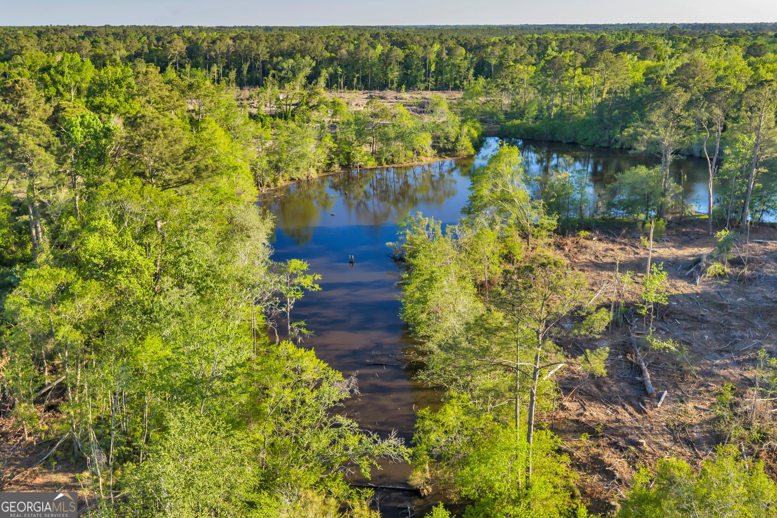 0 Daffodil Road Ocilla GA 31774