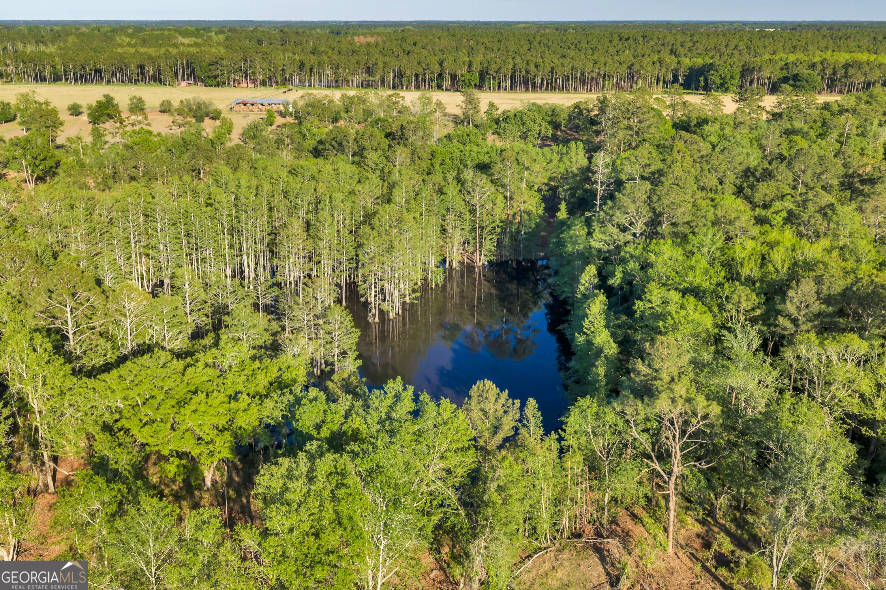 0 Daffodil Road Ocilla GA 31774