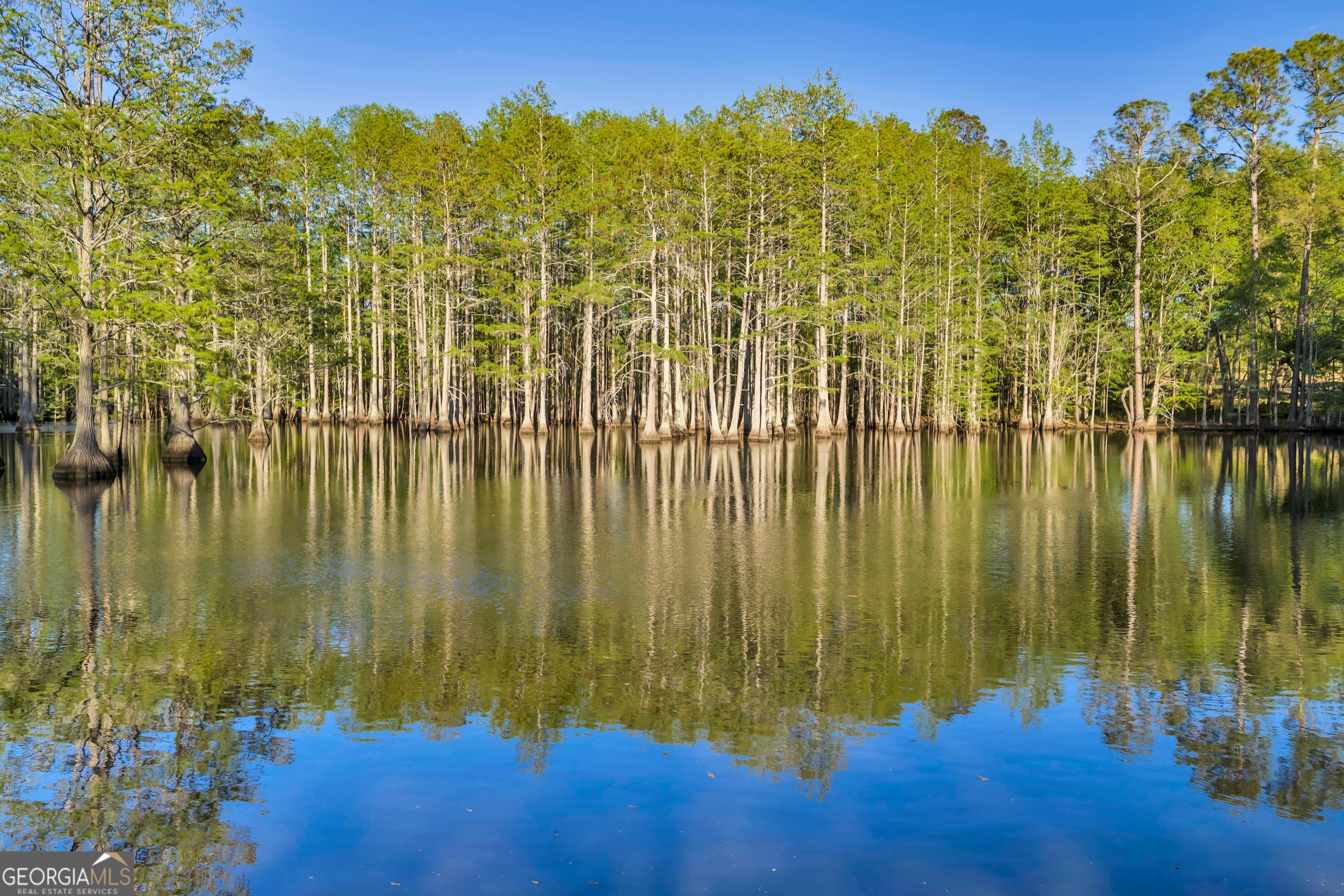 0 Daffodil Road Ocilla GA 31774
