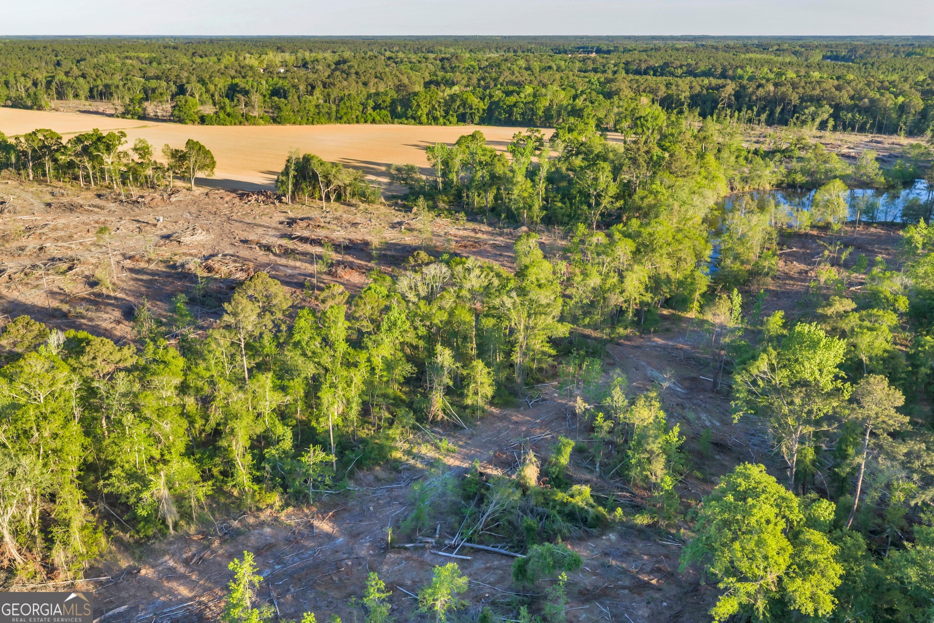 0 Daffodil Road Ocilla GA 31774