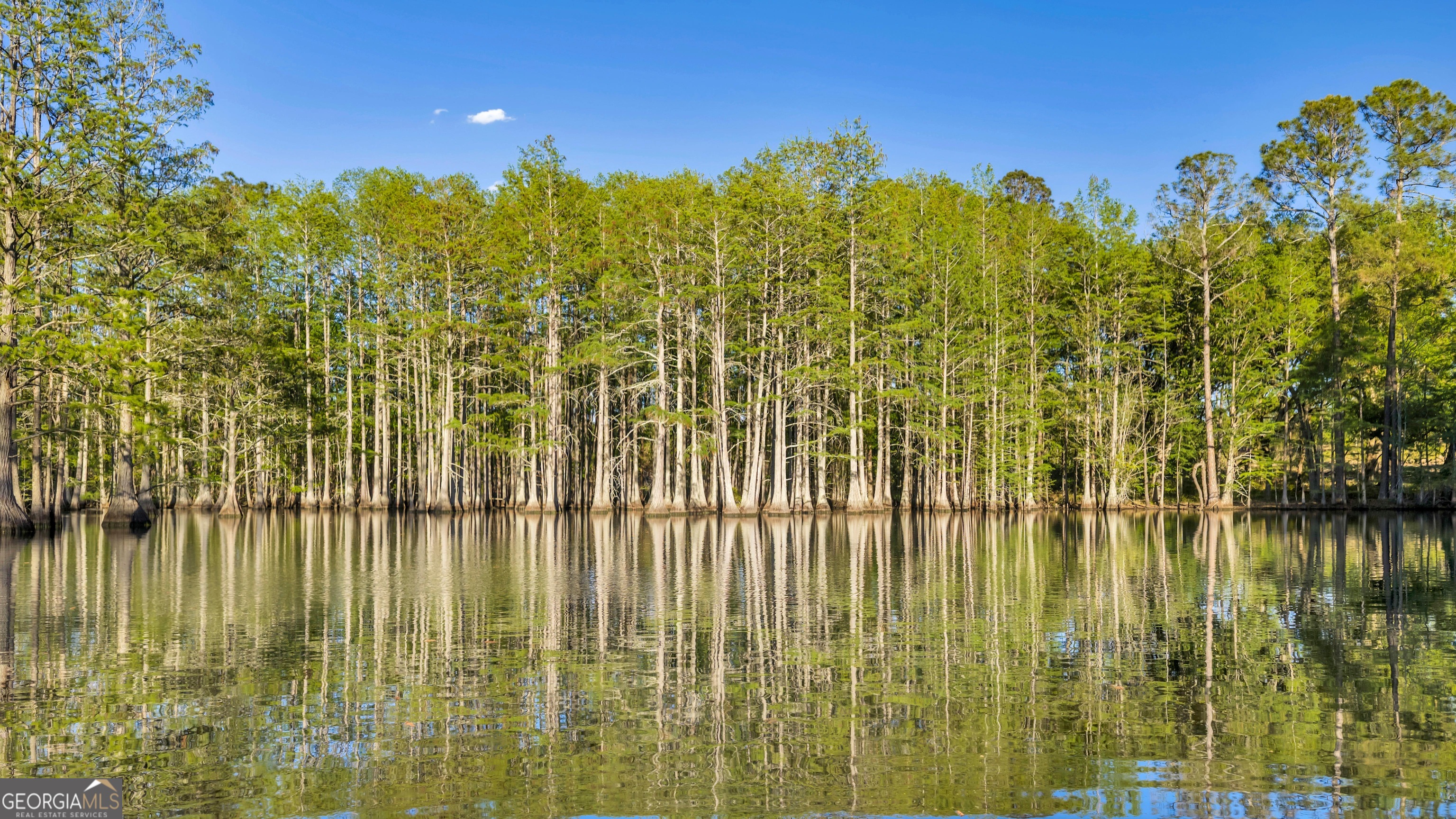 0 Daffodil Road Ocilla GA 31774