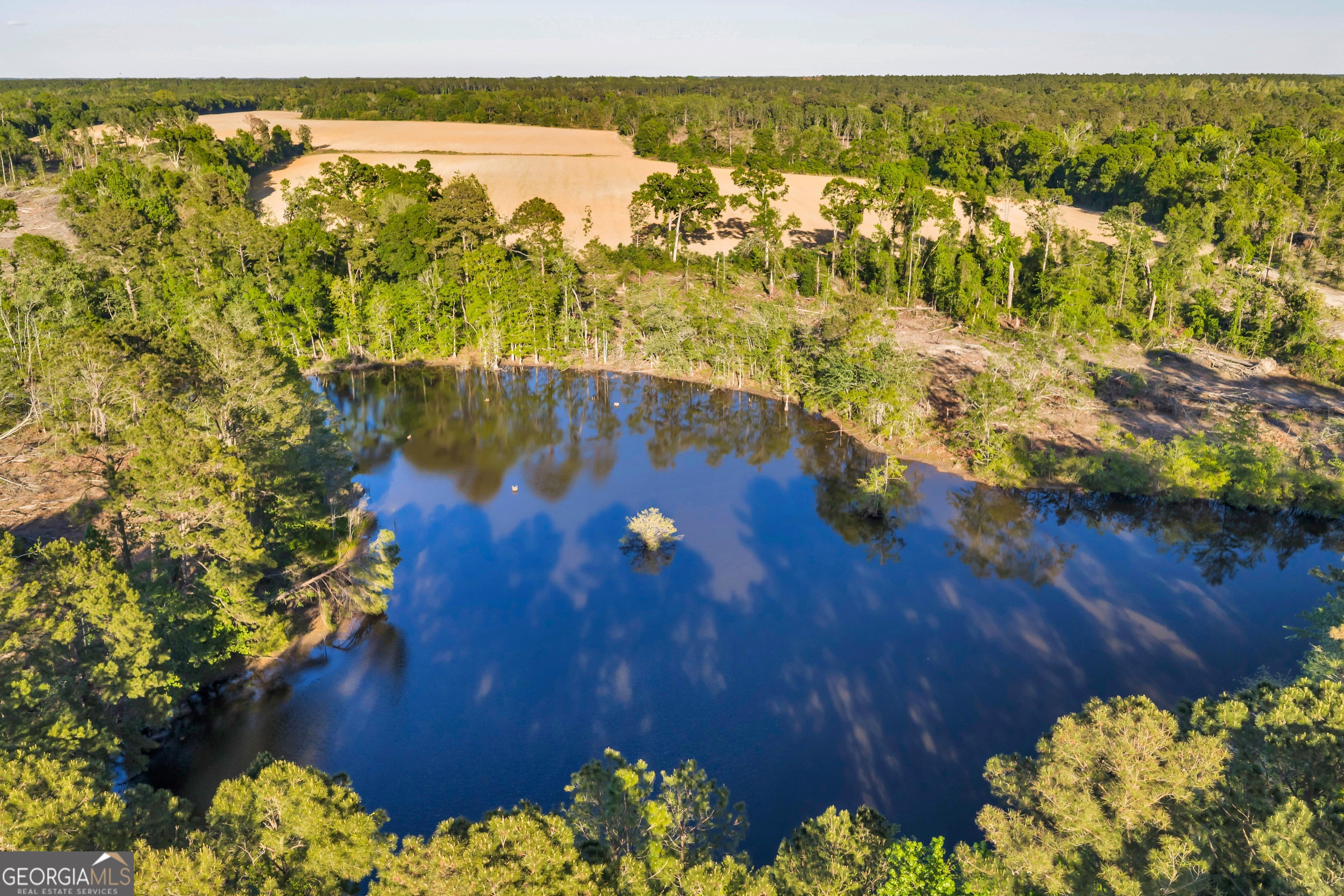 0 Daffodil Road Ocilla GA 31774