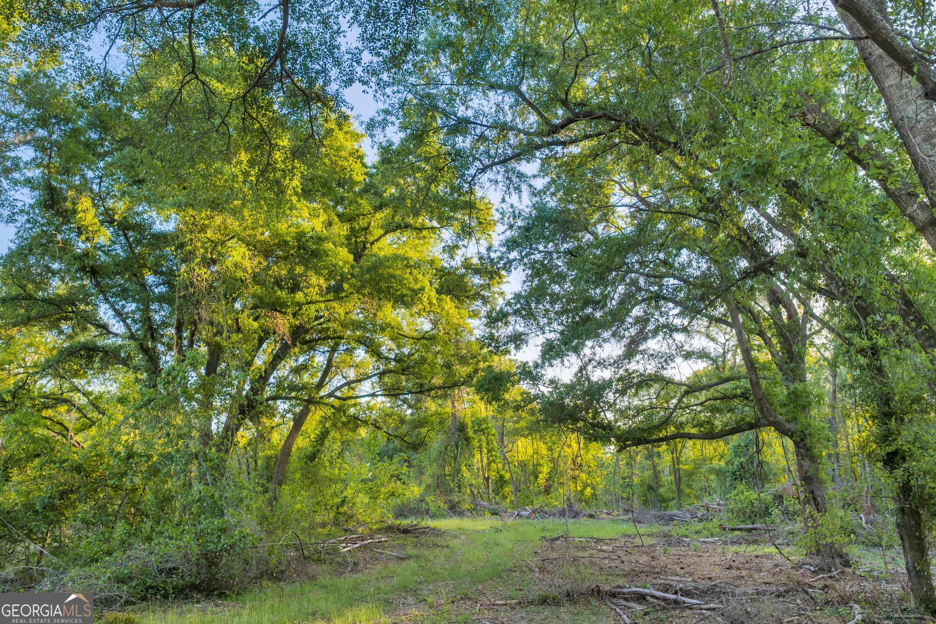 0 Daffodil Road Ocilla GA 31774