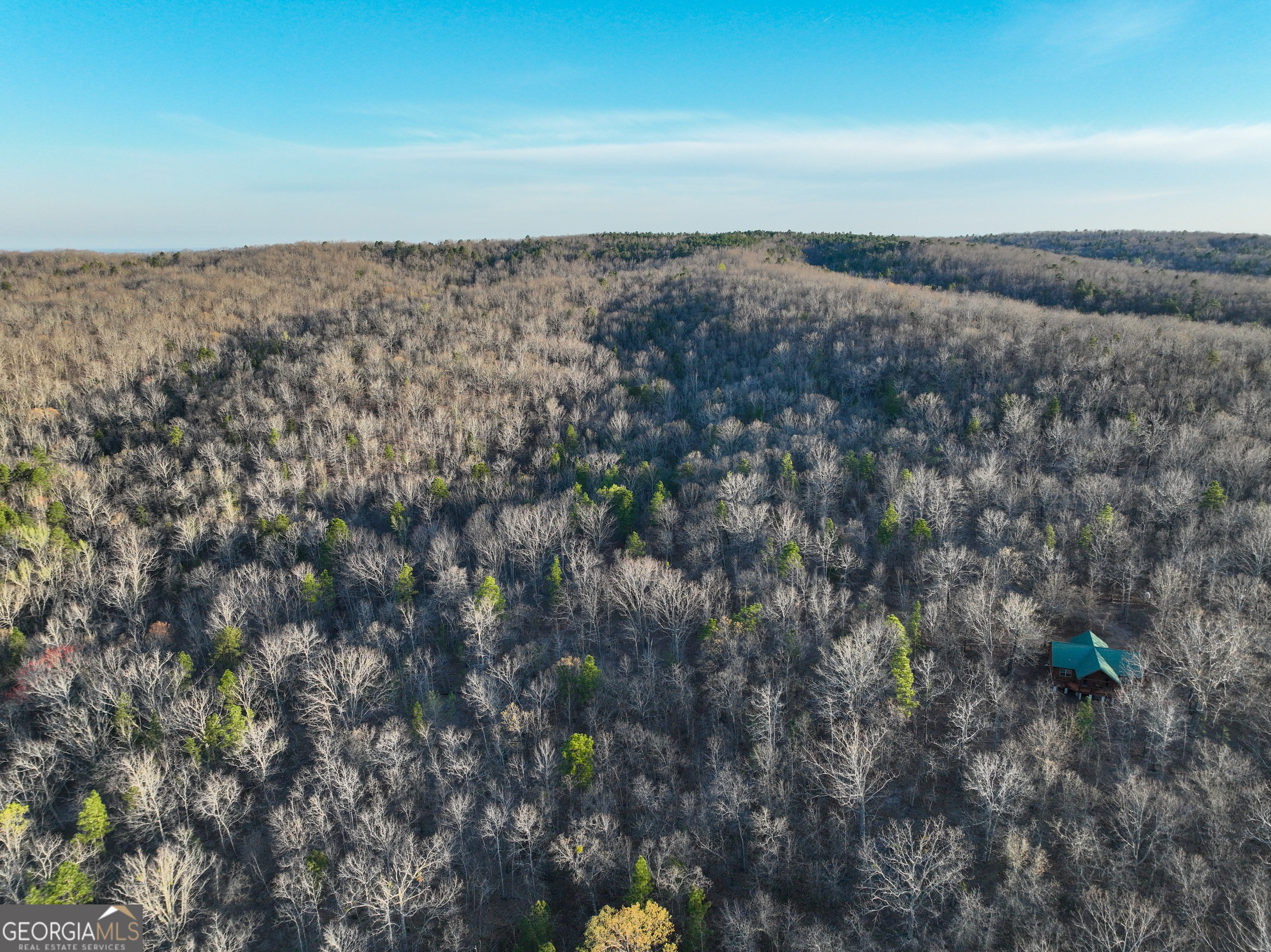 3270 Jeff Davis Road Thomaston GA 30286