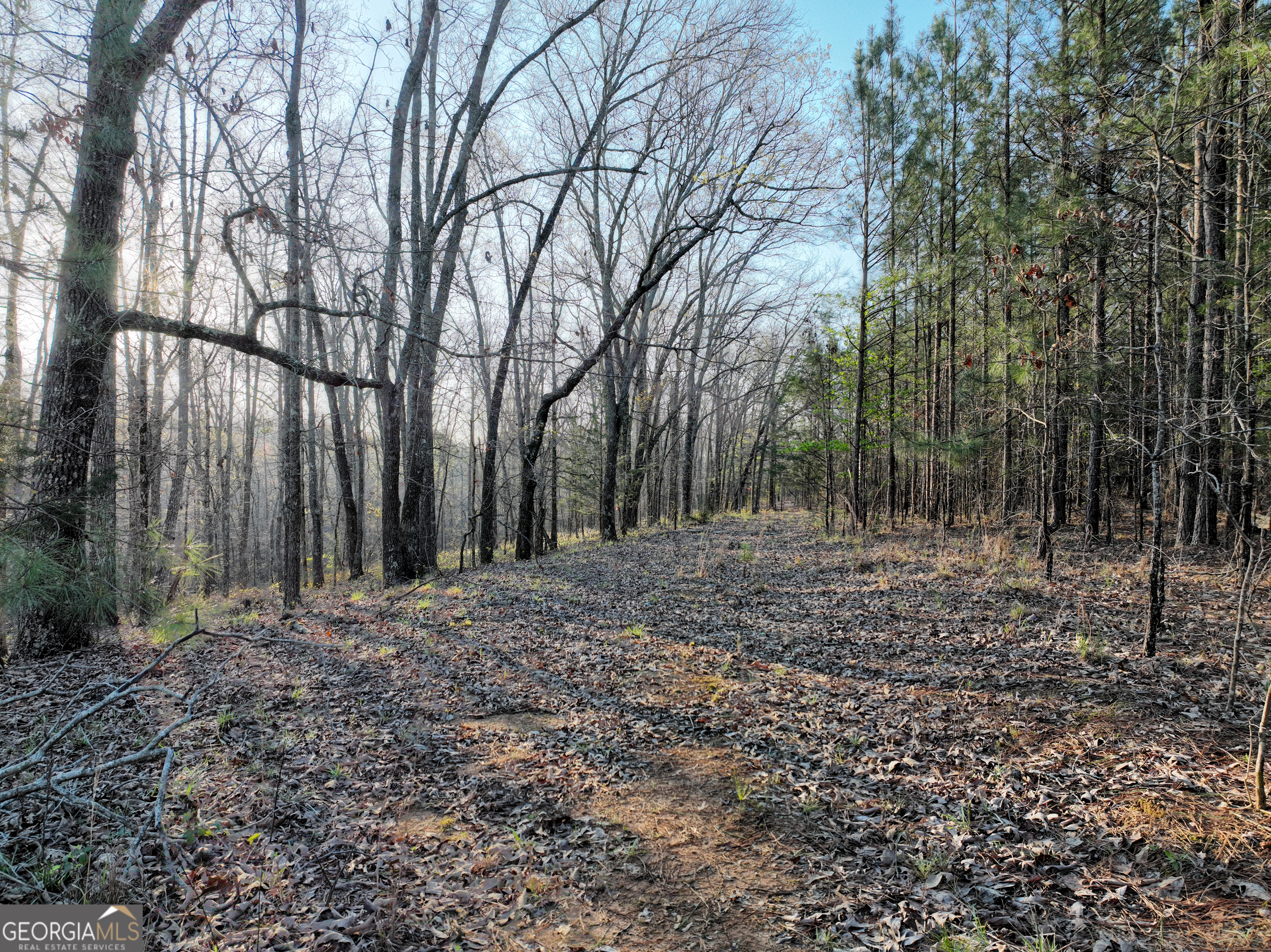 3270 Jeff Davis Road Thomaston GA 30286