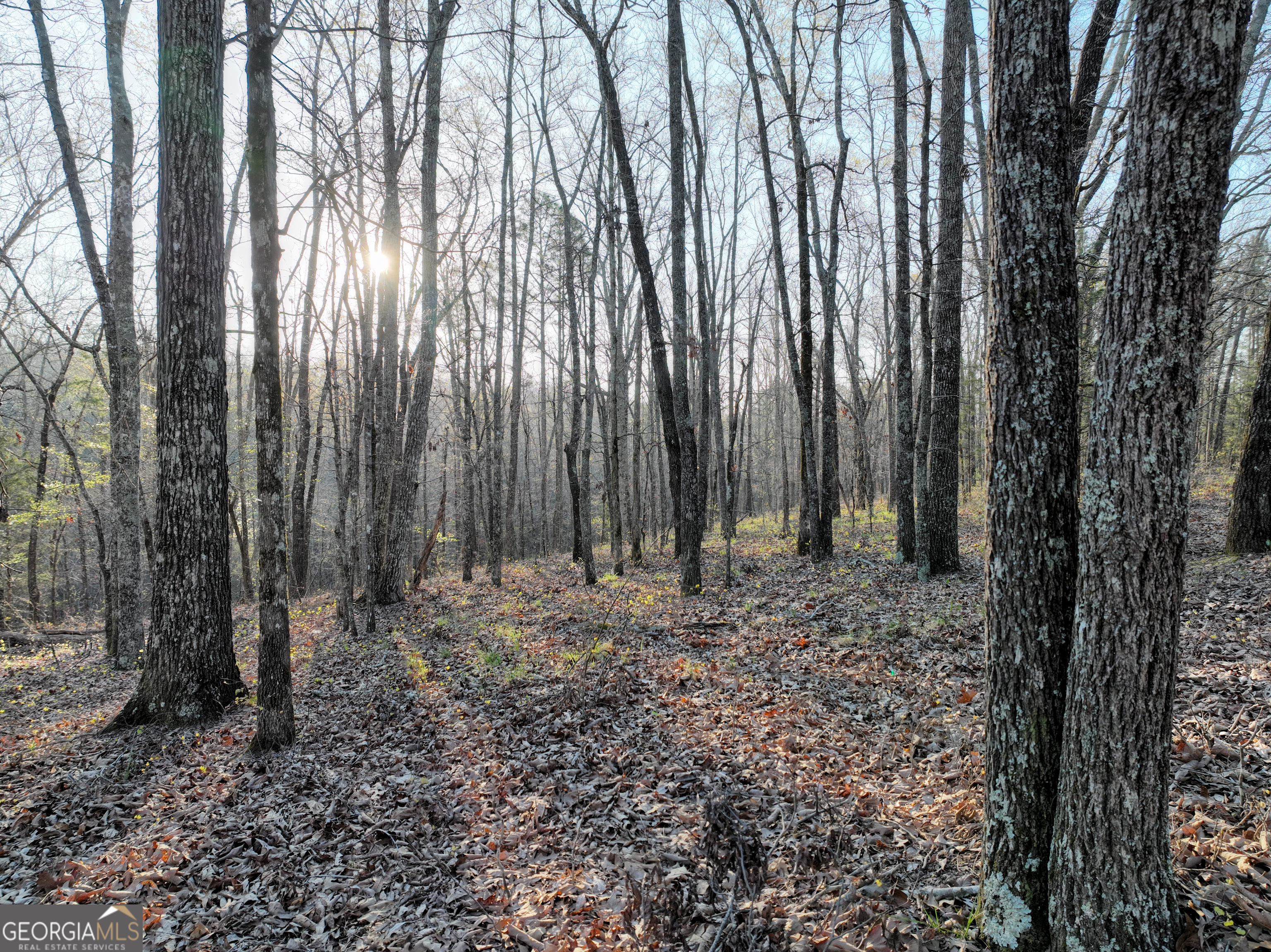 3270 Jeff Davis Road Thomaston GA 30286