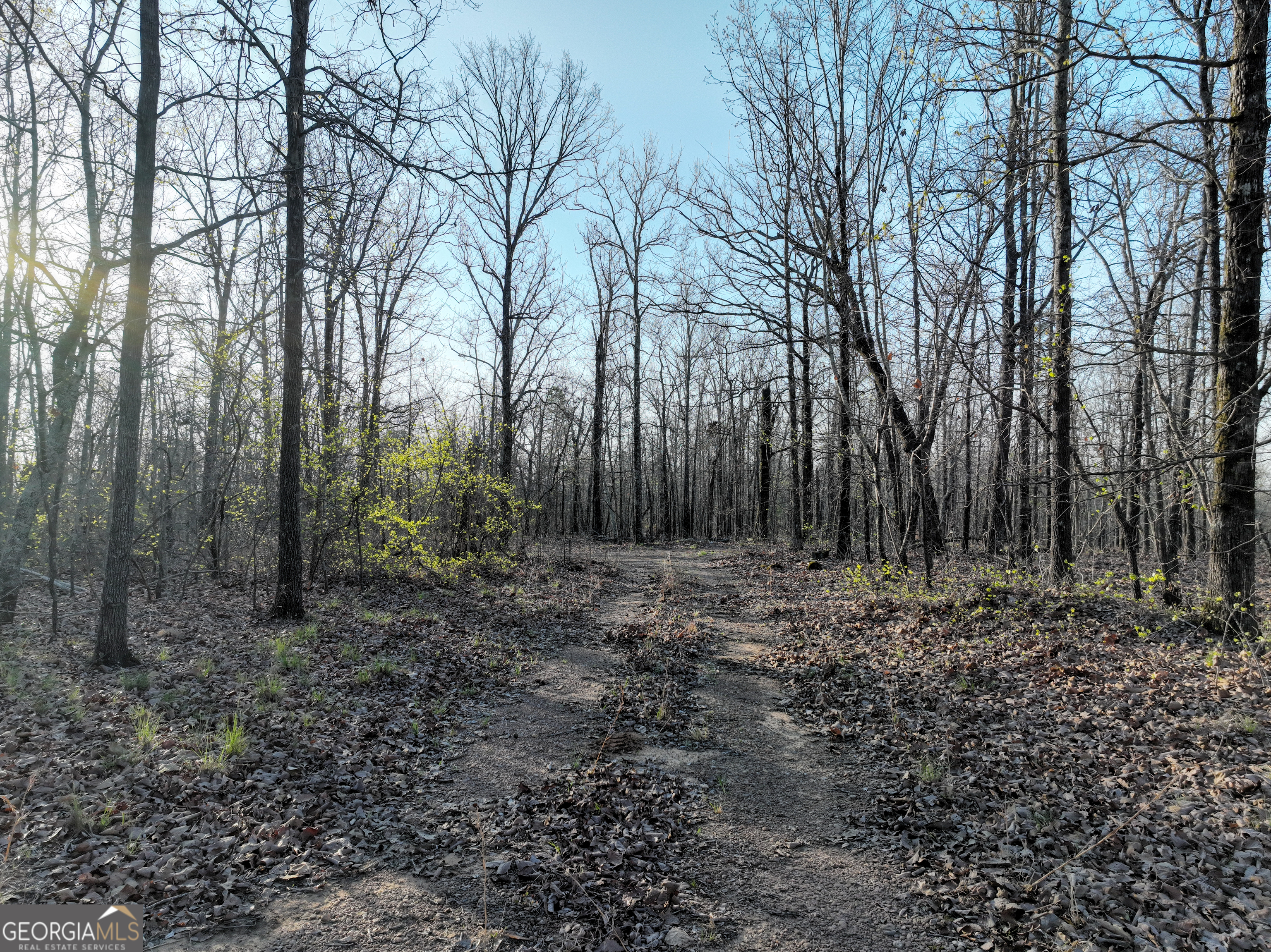 3270 Jeff Davis Road Thomaston GA 30286