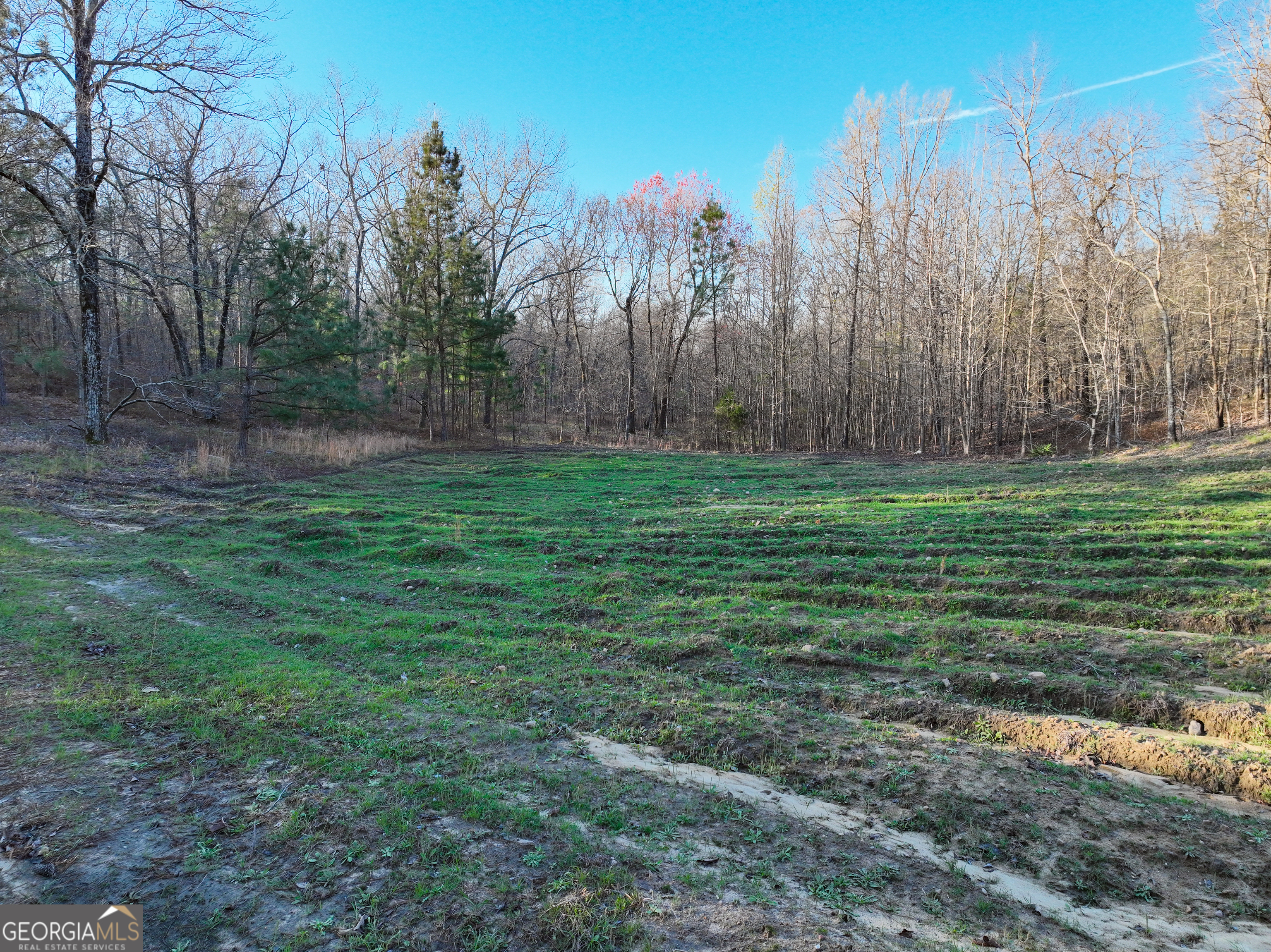 3270 Jeff Davis Road Thomaston GA 30286
