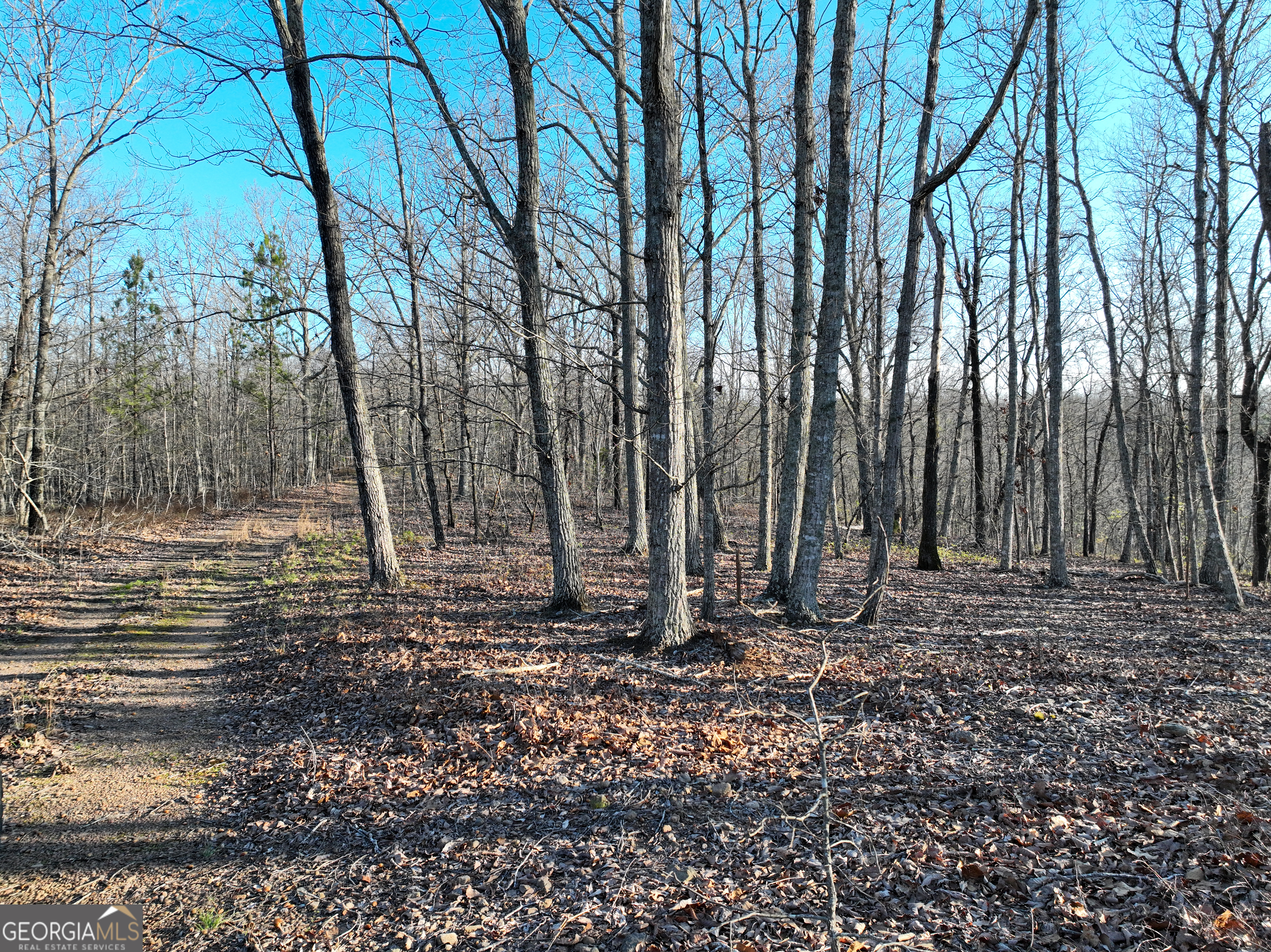 3270 Jeff Davis Road Thomaston GA 30286