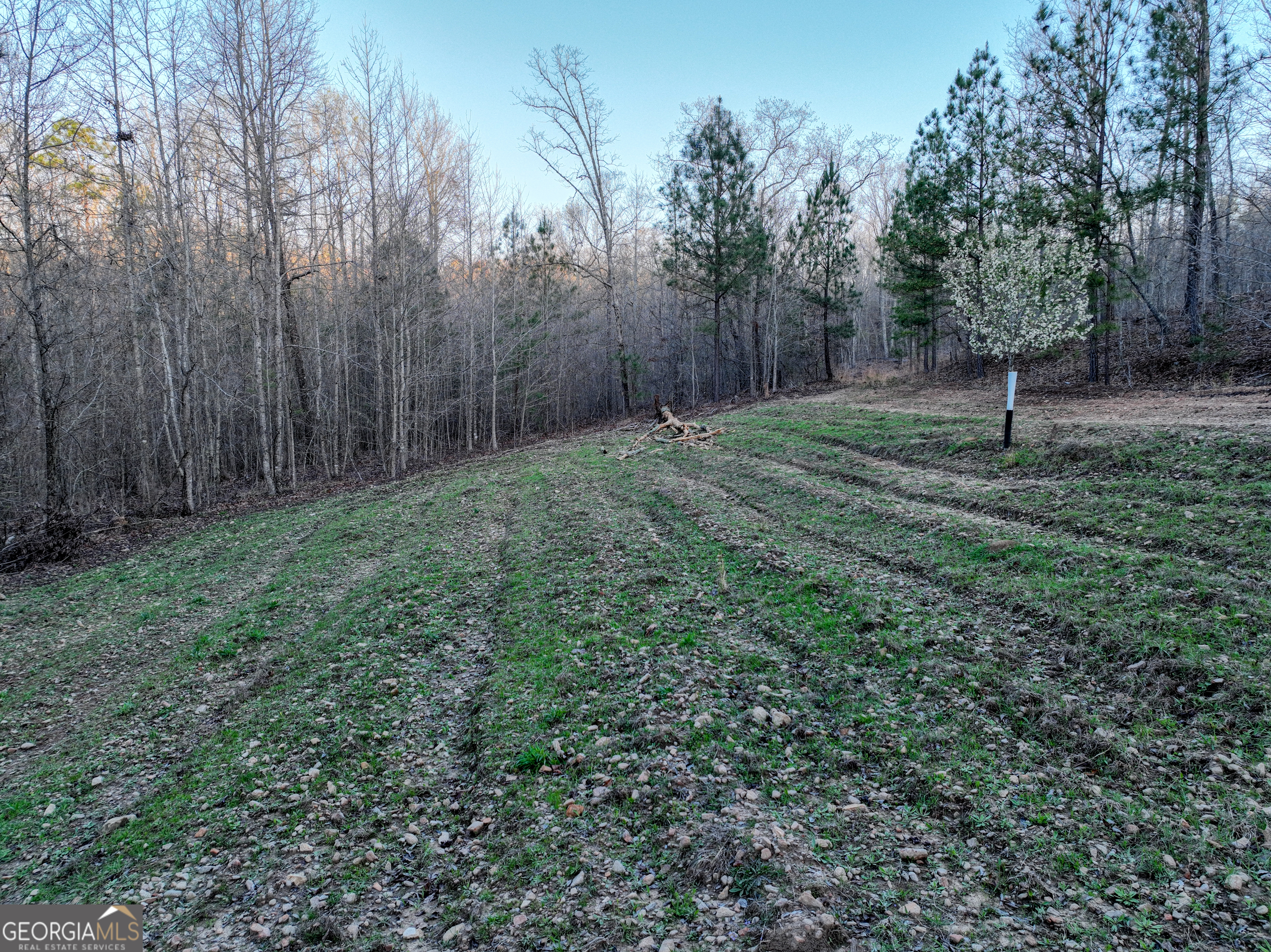 3270 Jeff Davis Road Thomaston GA 30286