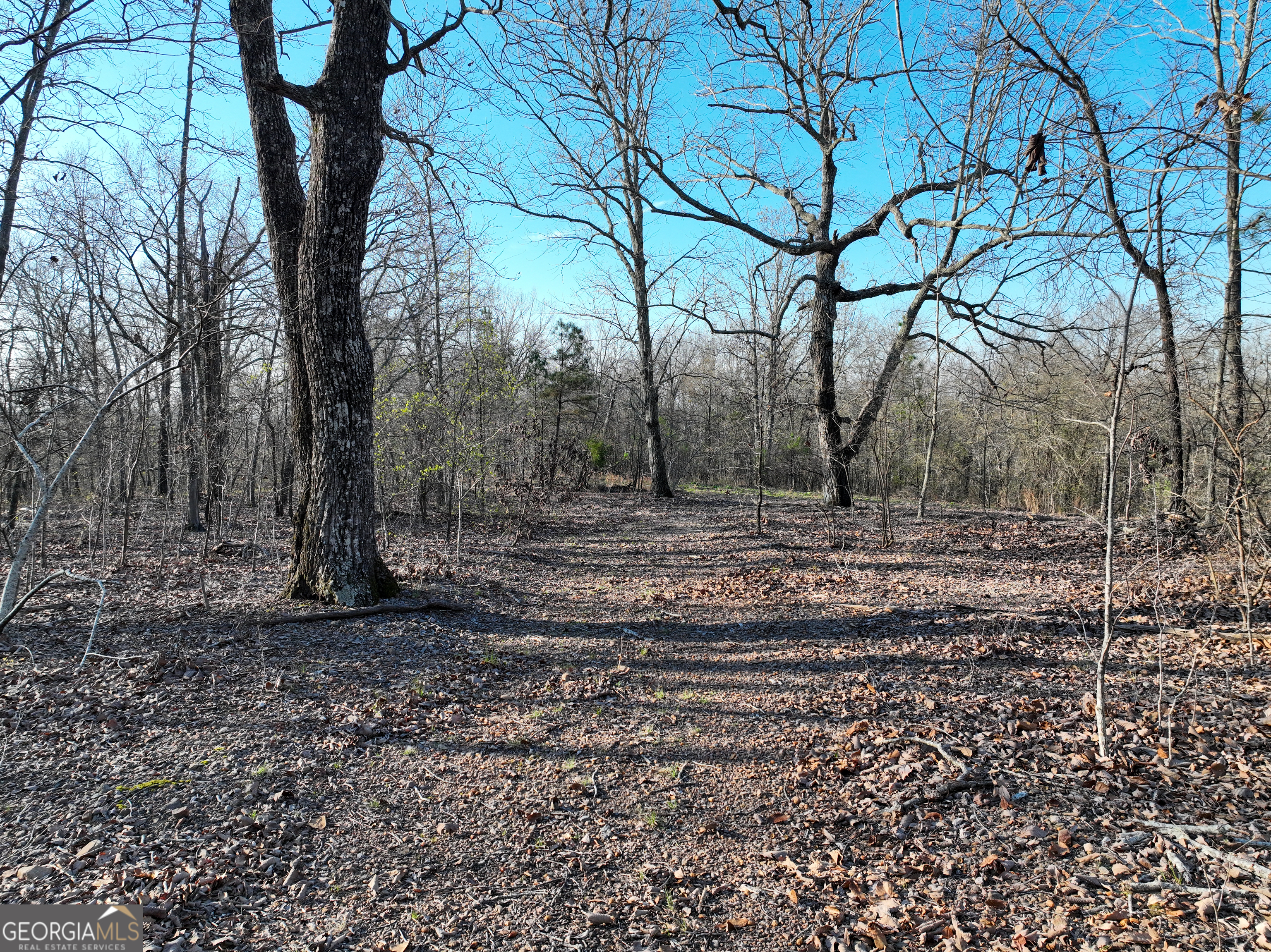 3270 Jeff Davis Road Thomaston GA 30286