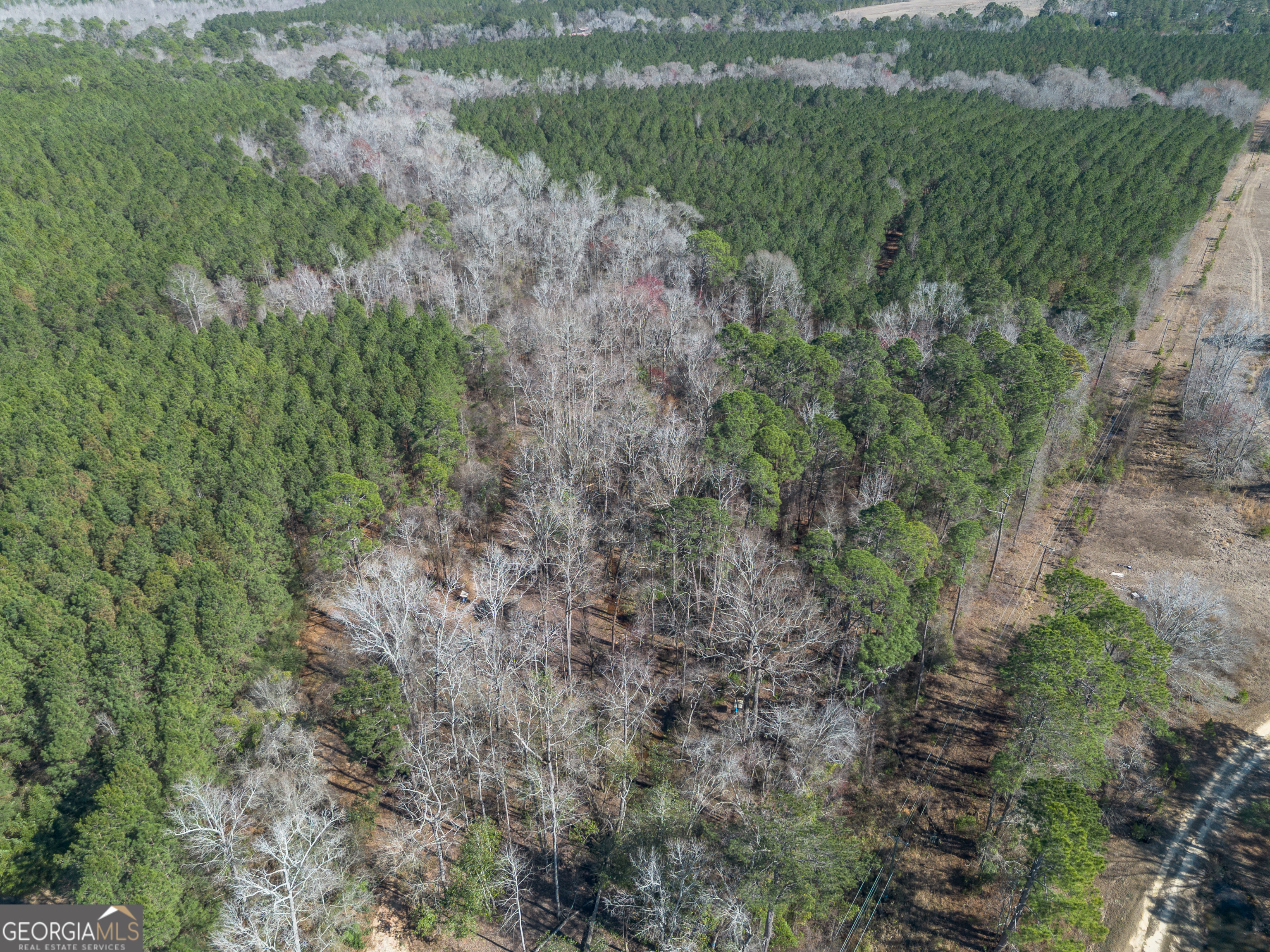 Lot 7 Golf Course Road Eastman GA 31023