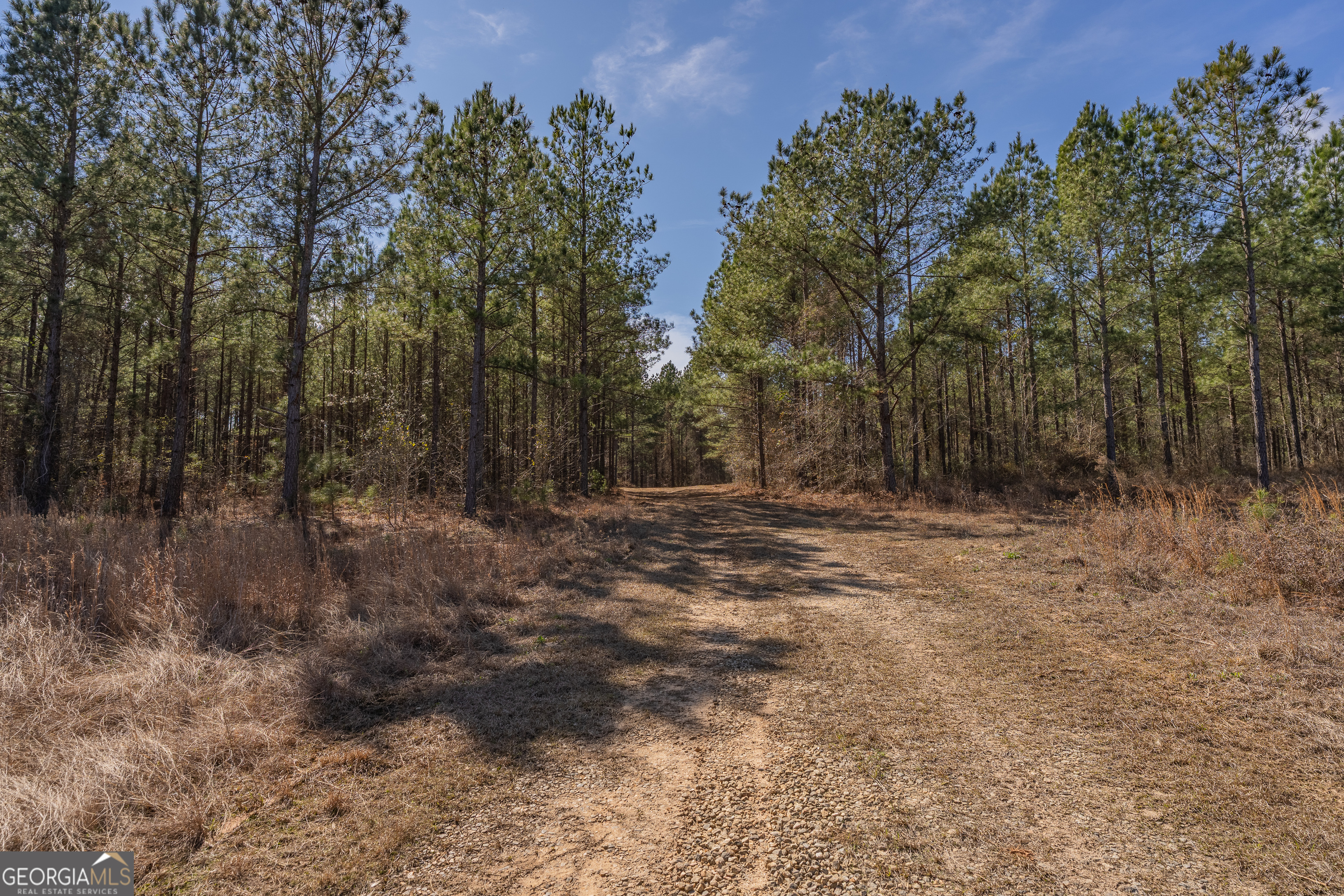 Lot 7 Golf Course Road Eastman GA 31023