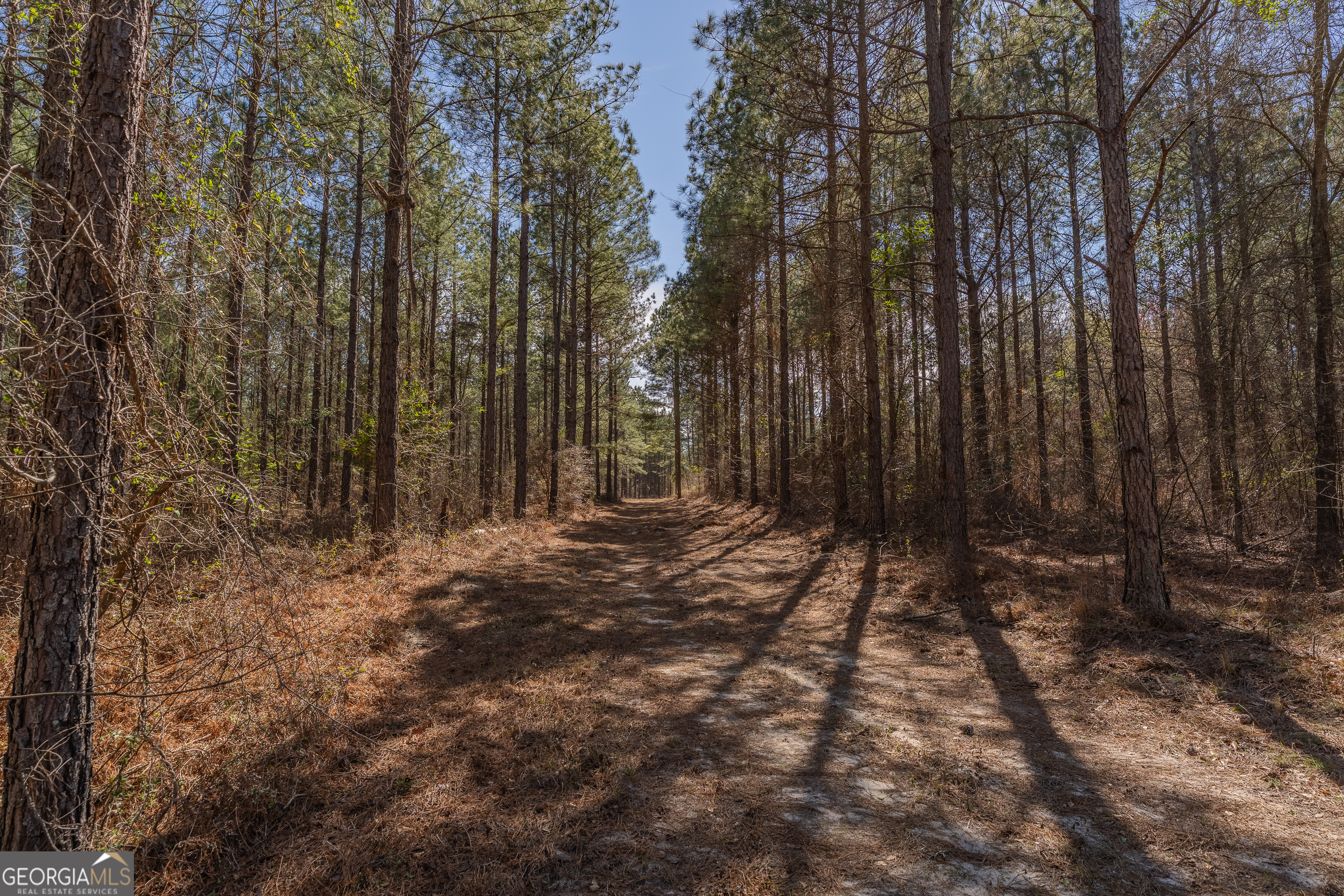Lot 7 Golf Course Road Eastman GA 31023
