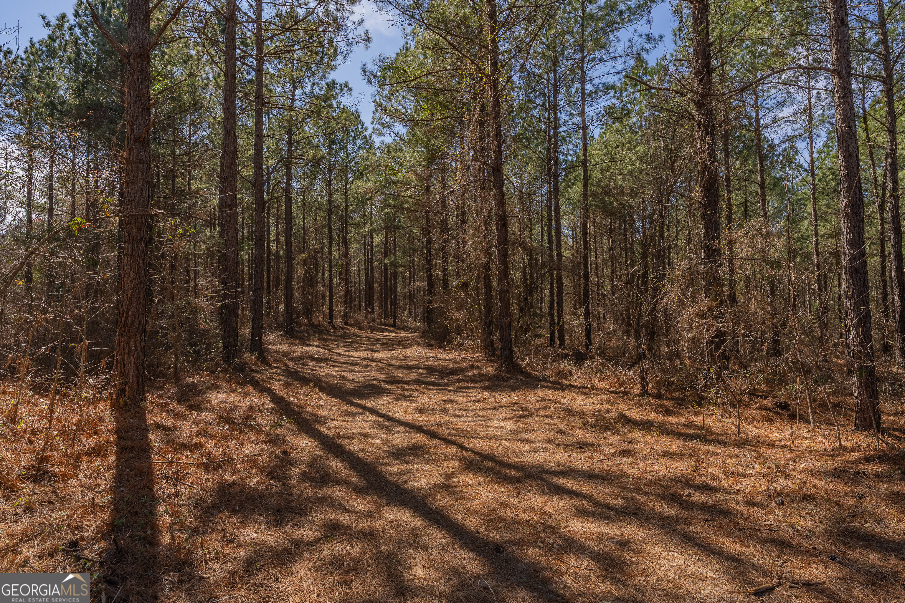 Lot 7 Golf Course Road Eastman GA 31023