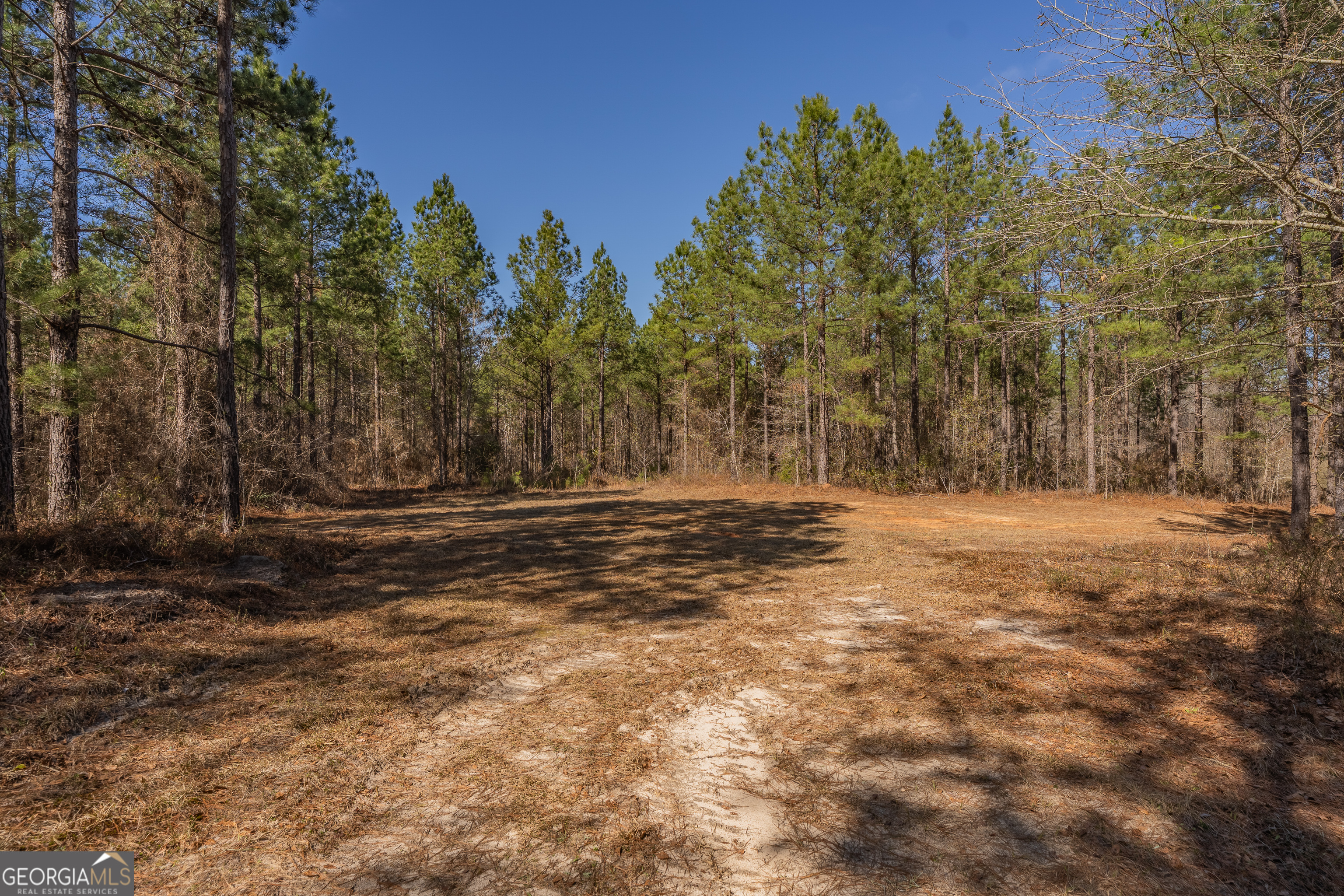 Lot 7 Golf Course Road Eastman GA 31023